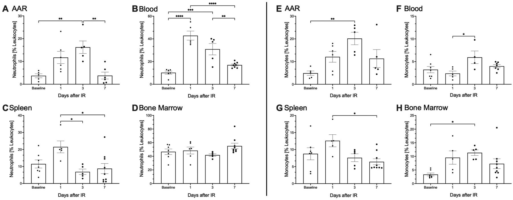 Eight graphs show the percentage of neutrophils and monocytes in leukocytes over time after Ischemia/Reperfusion (IR) in different tissues: myocardium, blood, spleen, and bone marrow. Panels A, B, C, and D depict neutrophils, while panels E, F, G, and H depict monocytes. Changes are shown at baseline, 1, 3, and 7 days post-IR, with statistical significance indicated by asterisks.