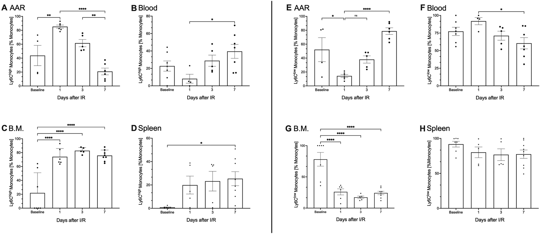 Graphs labeled A to H illustrate Ly6C^high and Ly6C^low monocyte percentages across AAR, blood, bone marrow (B.M.), and spleen over time after IR. Significant differences are indicated, with varying responses noted between baseline and days one, three, and seven.
