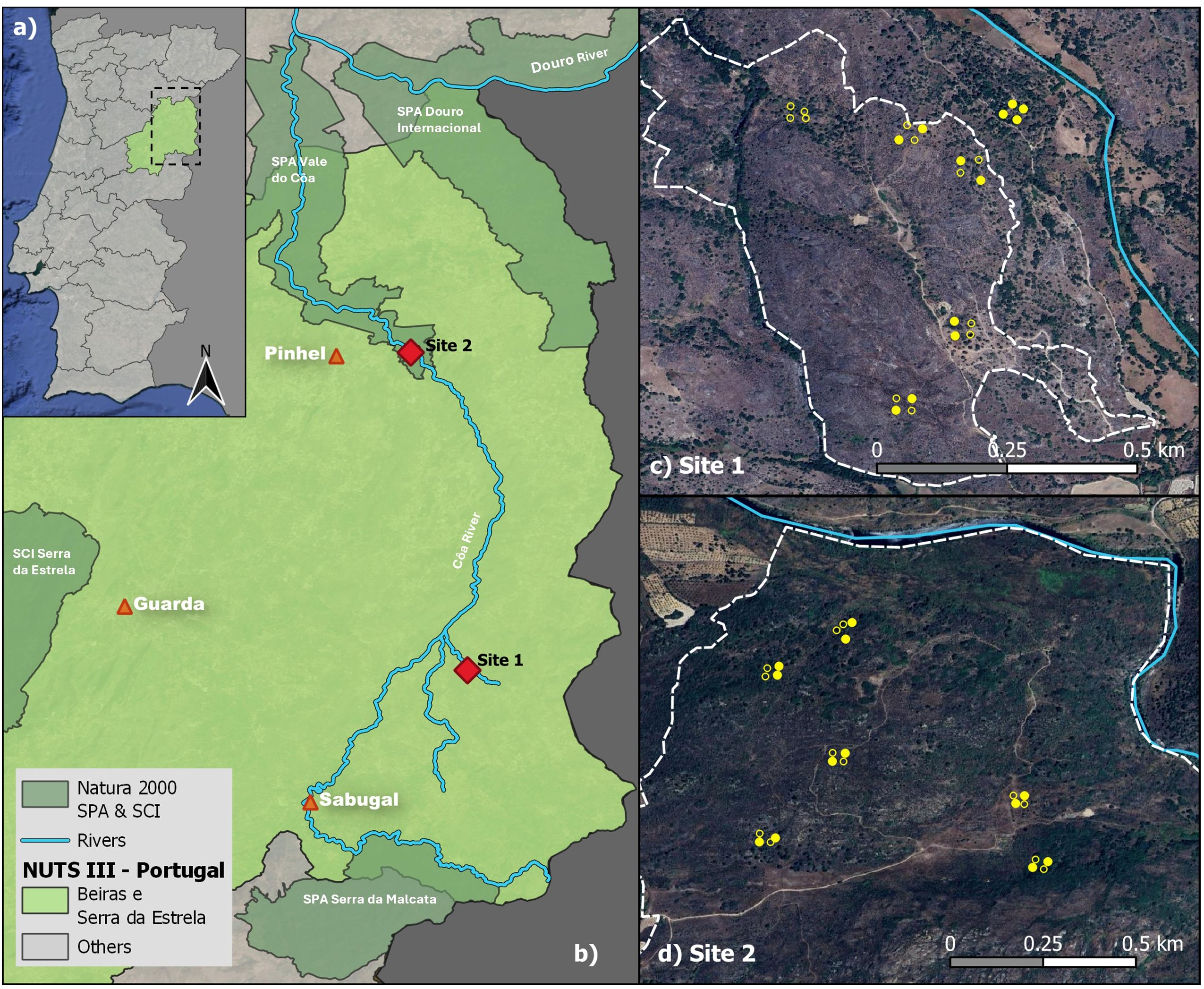 Map showing two main locations in Portugal within the Côa Valley region. Panel a) highlights Portugal with a focused area on panel b). Panel b) details study sites locations: Pinhel and Guarda are marked with triangles, Sites1 and 2 with diamonds. Natura 2000 and river areas are distinguished. Panels c) and d) show detailed satellite imagery of Site1 and Site2 with marked yellow circles representing the specific sampling plots, alongside outlined areas and scale bars.