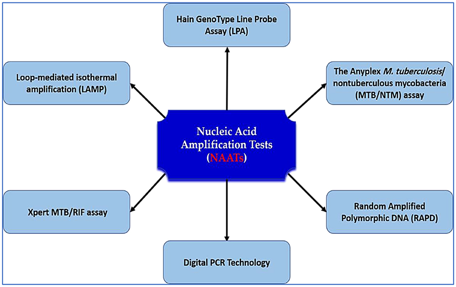 Diagram illustrating different types of Nucleic Acid Amplification Tests (NAATs). Central blue box labeled “Nucleic Acid Amplification Tests (NAATs)” connects to six surrounding boxes: “Hain GenoType Line Probe Assay (LPA)”, “The Anyplex M. tuberculosis/nontuberculous mycobacteria (MTB/NTM) assay”, “Random Amplified Polymorphic DNA (RAPD)”, “Digital PCR Technology”, “Xpert MTB/RIF assay”, and “Loop-mediated isothermal amplification (LAMP)”. Arrows indicate connection from the central box to each test type.