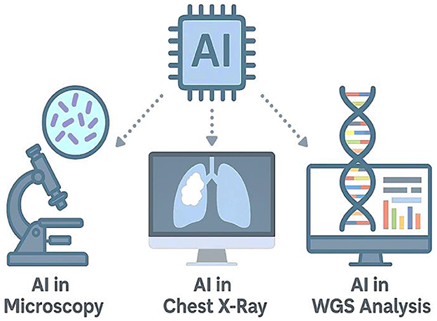 Diagram showing AI applications in three fields: microscopy, chest X-ray, and whole genome sequencing (WGS) analysis. Each field is represented by icons: a microscope, a chest X-ray image on a computer screen, and a DNA strand on another monitor. A central AI chip connects to each field with dotted lines, suggesting integration.