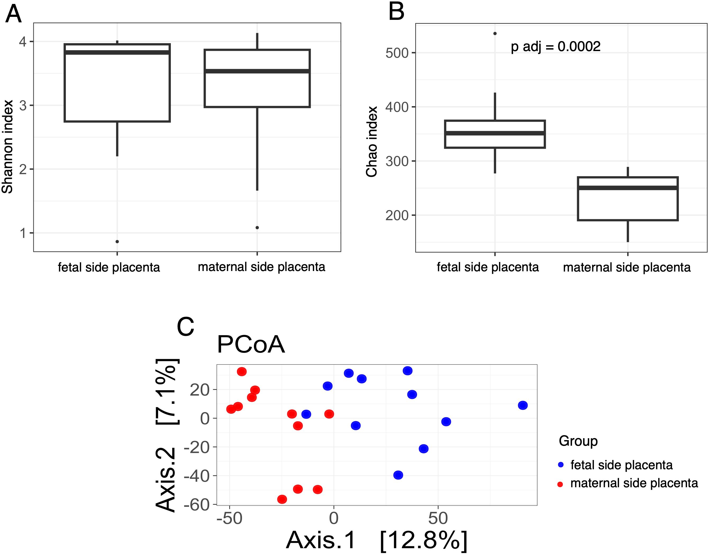 Three panels illustrate microbial diversity and composition. Panel A: Box plots compare Shannon index between fetal and maternal placenta, both showing similar medians. Panel B: Box plots for Chao index show higher diversity in fetal placenta with a significant p-value of 0.0002. Panel C: PCoA plot with blue and red dots represents microbial composition in fetal and maternal placenta, indicating distinct clustering.