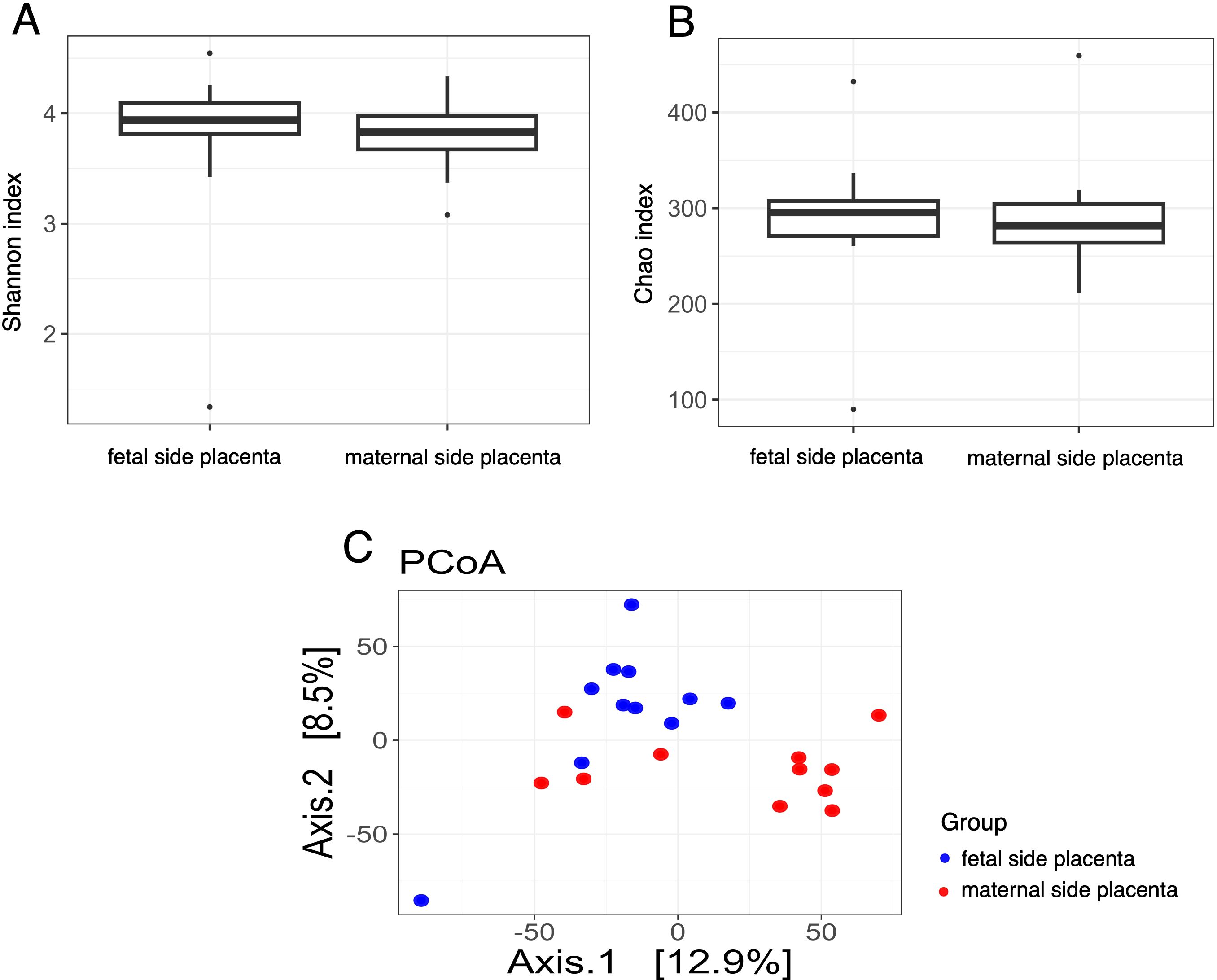 Box plots in panels A and B compare fetal and maternal side placental microbiome diversity using the Shannon and Chao indices, both showing similar distributions. Panel C presents a PCoA plot illustrating sample clustering by placental side, with blue dots for the fetal and red for the maternal side.