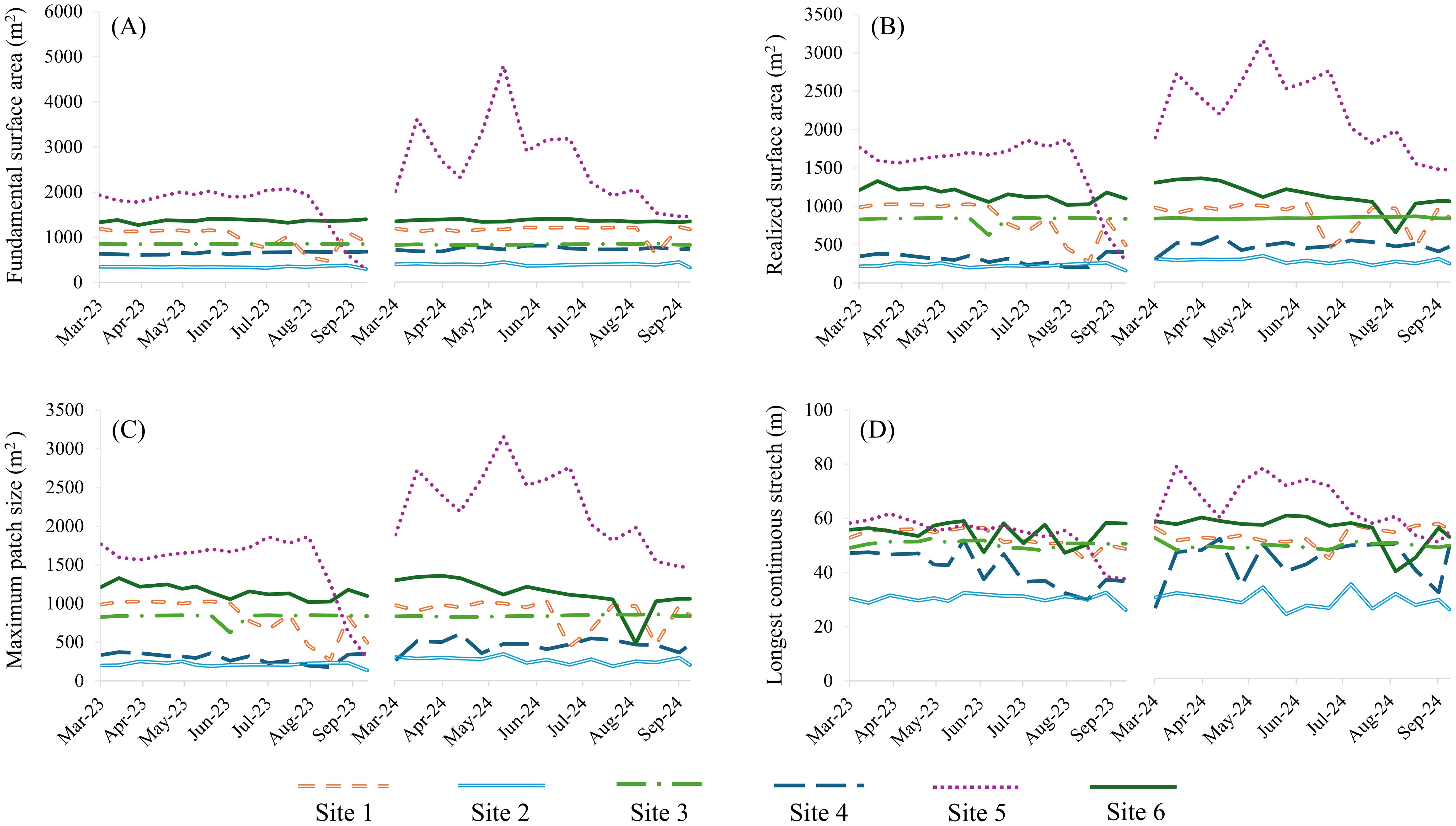 Line graphs show trends from March 2023 to September 2024 for six sites, differentiated by dashed and dotted lines. Graph A shows fundamental surface area; Graph B, realized surface area; Graph C, maximum patch size; Graph D, longest continuous stretch. Spikes appear in April to July 2024 for all metrics, particularly for Site 6. Each site exhibits different levels of variability.