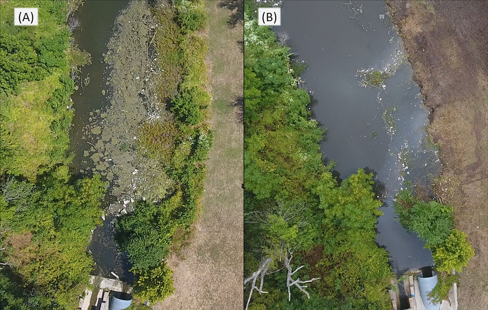 A split aerial view of two water bodies. Image (A) shows a dried area with sparse water and visible debris, surrounded by dense greenery. Image (B) shows a fuller water body with clearer water and similar surrounding vegetation.