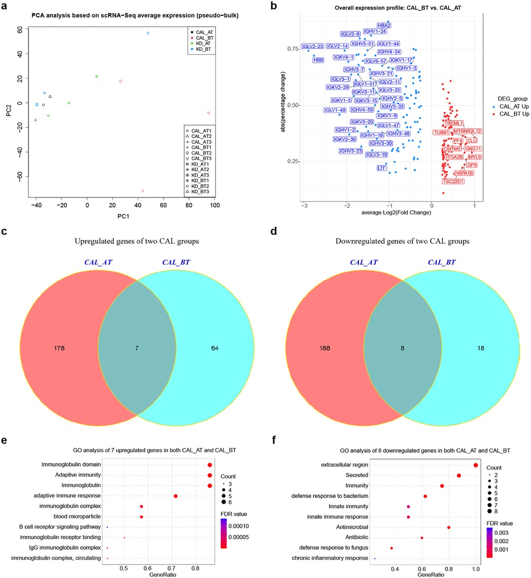 Image containing six panels related to gene expression analysis: (a) Scatter plot showing PCA based on scRNA-Seq average expression. Different groups (CAL_AT, CAL_BT, KD_AT, KD_BT) are marked by various symbols and colors. (b) Scatter plot of overall expression profile comparing CAL_BT and CAL_AT. Specific genes are highlighted based on percentage change and fold change. (c) Venn diagram of upregulated genes in CAL_AT and CAL_BT, highlighting 7 overlapping genes. (d) Venn diagram of downregulated genes in CAL_AT and CAL_BT, showing 8 overlapping genes. (e) Dot plot of GO analysis for 7 upregulated genes, focusing on immunological terms. (f) Dot plot of GO analysis for 8 downregulated genes, focusing on immune and antimicrobial responses.