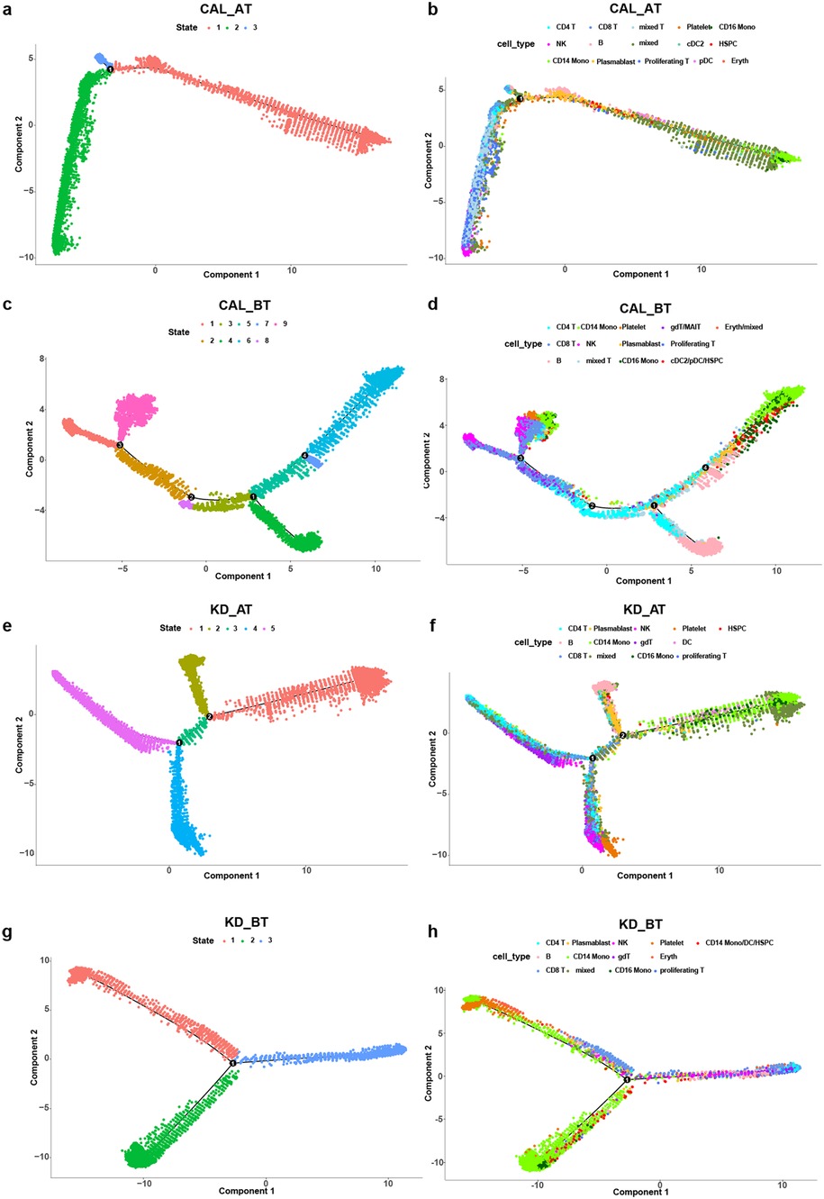 Eight scatter plots labeled a to h display cell type and state distributions across two components. Plots a, c, e, and g show states with varying color-coded clusters, while plots b, d, f, and h categorize cell types with distinct colors. Each plot is titled CAL_AT, CAL_BT, KD_AT, or KD_BT, and features axes labeled