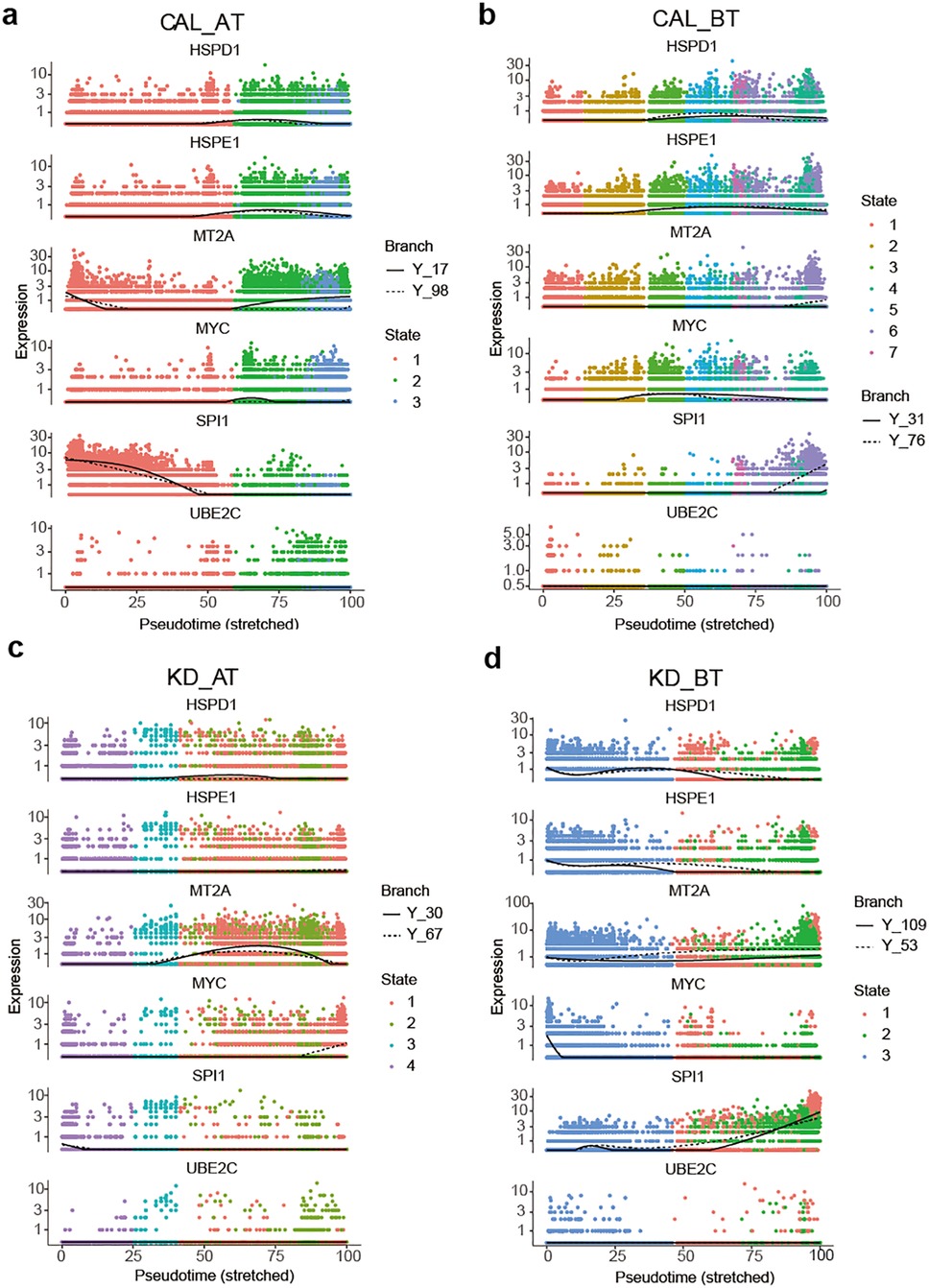 Plots showing gene expression over pseudotime for different genes (HSPD1, HSPE1, MT2A, MYC, SPI1, UBE2C) across four scenarios: CAL_AT, CAL_BT, KD_AT, KD_BT. Each plot features multiple states and branches, indicated by different colors and line styles. The y-axis represents expression levels, and the x-axis represents pseudotime (stretched). The expression patterns and trends vary across conditions.