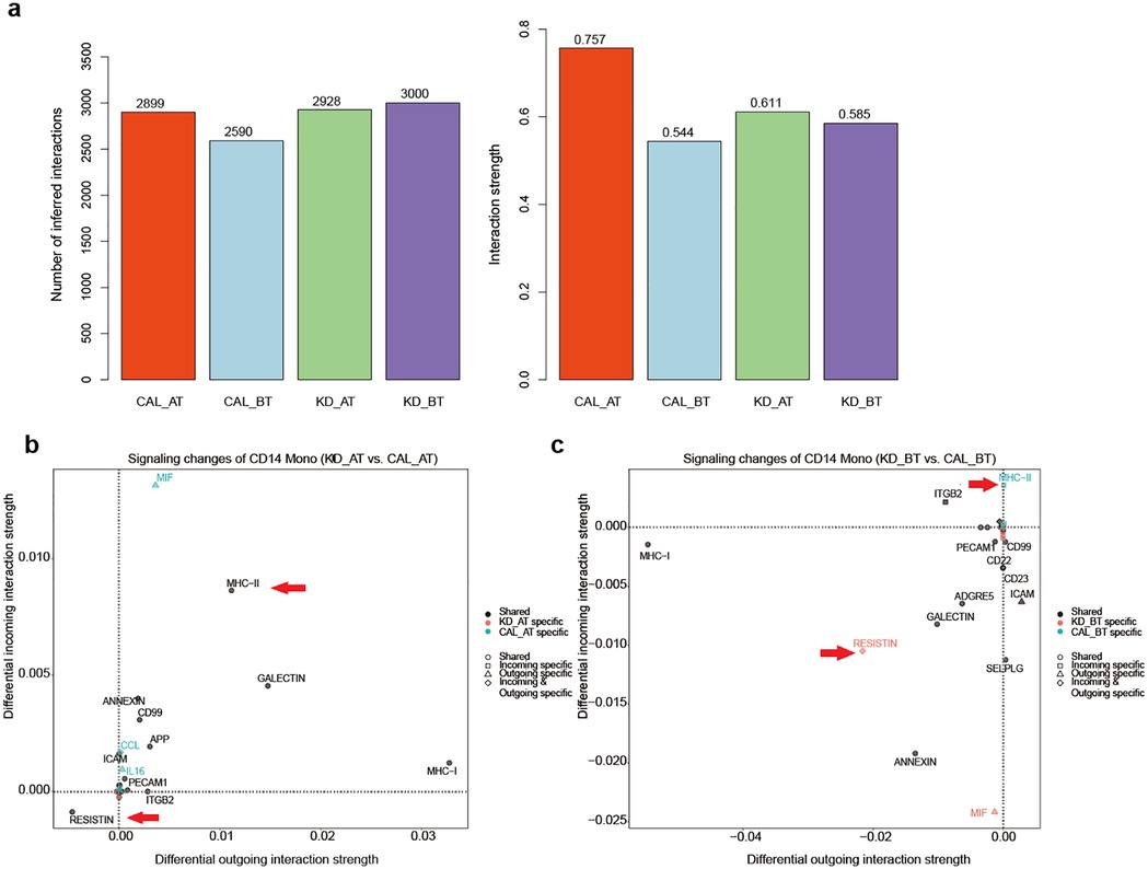 Bar chart (a) compares the number of inferred interactions and interaction strength across four categories: CAL_AT, CAL_BT, KD_AT, and KD_BT. Scatter plots (b and c) show signaling changes of CD14 Mono between KD_AT vs. CAL_AT and KD_BT vs. CAL_BT, respectively. Data points represent proteins with different interaction strengths. Red and blue arrows indicate notable proteins like MHC-II and RESISTIN.