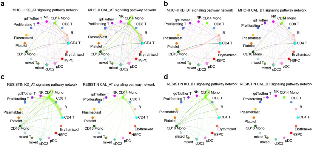 Diagram showing signaling pathway networks labeled a, b, c, and d. Each network includes nodes such as CD14 Mono, CD4 T, and CD8 T, connected with colored lines. The connections represent relationships between different immune cells like NK, Plasmablast, and HSPC. Each panel represents a specific network: MHC-II KD_AT, MHC-II CAL_AT, RESISTIN KD_AT, and RESISTIN CAL_BT.