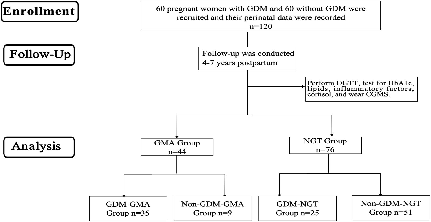 Flowchart of a study design. Enrollment involved 60 pregnant women with GDM and 60 without GDM, totaling 120. Follow-up occurred 4-7 years postpartum, including tests like OGTT and HbA1c. Analysis divided into GMA (44 participants) with subgroups GDM-GMA (35) and Non-GDM-GMA (9), and NGT (76 participants) with subgroups GDM-NGT (25) and Non-GDM-NGT (51).