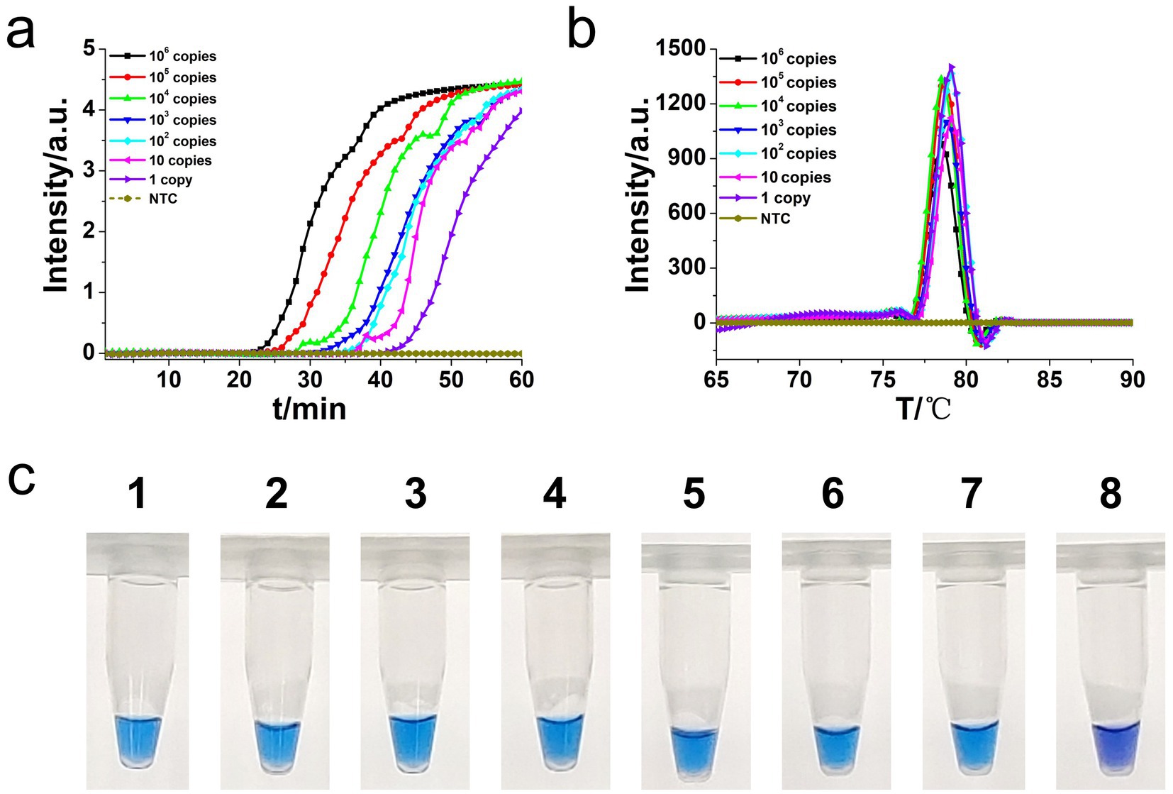 Graphical analysis displays intensity versus time and temperature for various DNA copy numbers. Graph (a) shows intensity increasing with time for different copy amounts, while graph (b) displays intensity peaks around 80°C. Below, image (c) shows eight reaction tubes with blue liquid at the bottom, labeled one to eight.
