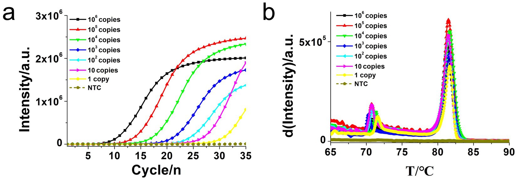 Graph A shows fluorescence intensity versus cycle number for different DNA copy numbers, ranging from 1 to 10^6 and a no-template control (NTC). Graph B displays the derivative of intensity against temperature in degrees Celsius for the same conditions. Each line is color-coded to represent different copy numbers.