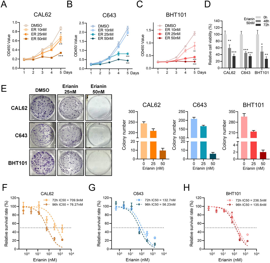 Graphs and charts depict the effects of eriannin on CAL62, C643, and BHT101 cell lines. Panels A, B, and C show OD450 values over five days with different eriannin concentrations. Panel D displays cell viability percentages at 0, 48, and 72 hours. Panel E includes colony formation assays with DMSO and varying eriannin doses, showing reduced colony numbers. Panels F, G, and H illustrate dose-response curves with IC50 values over 72 and 96 hours, indicating decreased survival rates with higher eriannin concentrations.