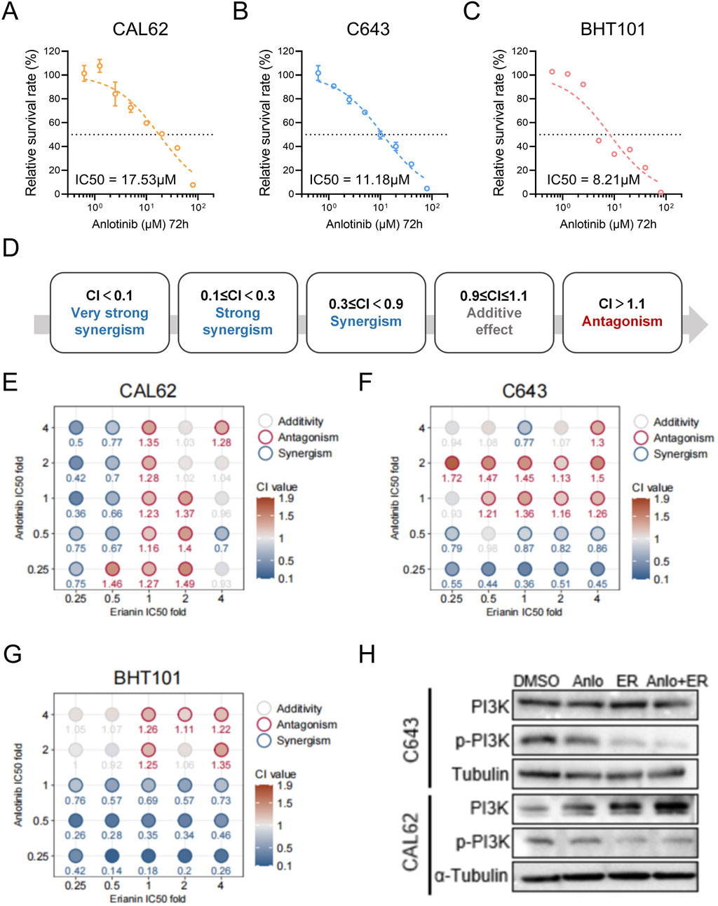 Three graphs (A, B, C) show survival rates of CAL62, C643, and BHT101 cell lines with IC50 values of 17.53 µM, 11.18 µM, and 8.21 µM for Anlotinib, respectively. A classification scale (D) categorizes drug interactions from synergism to antagonism based on combination index (CI) values. Bubble charts (E, F, G) for each cell line visualize CI values, indicating interaction effects. A Western blot (H) shows protein levels of PI3K, phosphorylated PI3K, and Tubulin in C643 and CAL62 under different treatments.