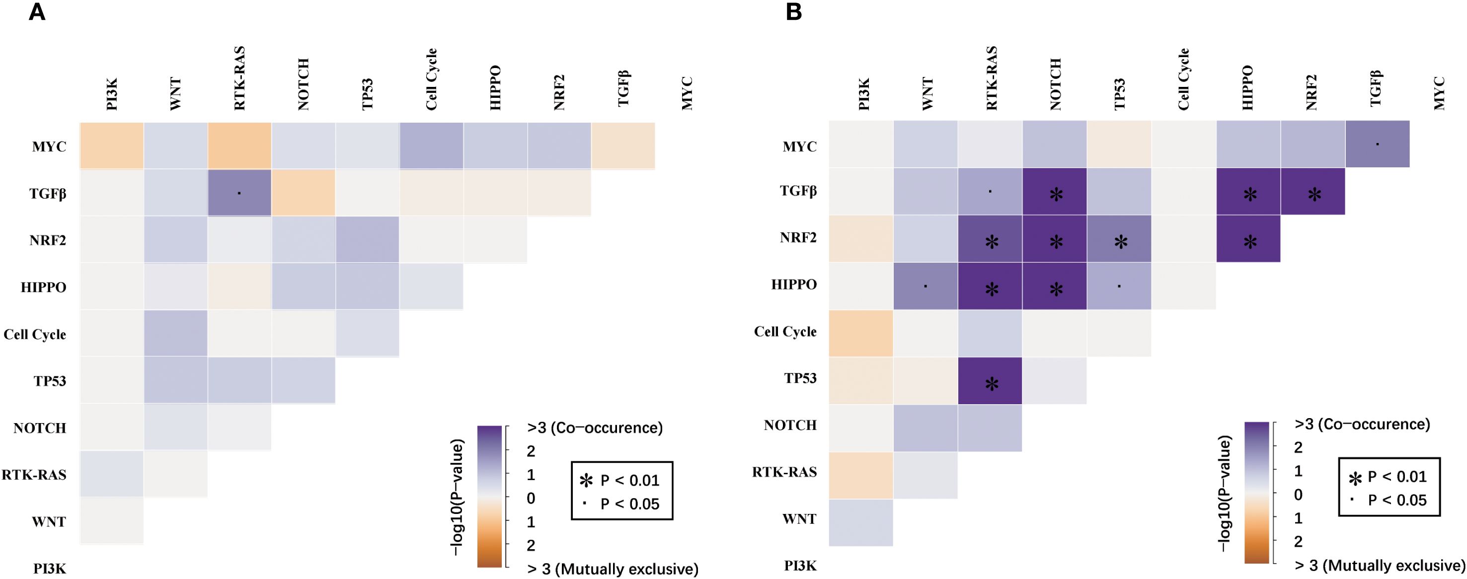 Heatmaps labeled A and B show gene interactions with color gradients representing negative logarithm of p-values. Panel A focuses on many cells being orange, while panel B highlights significant co-occurrences, indicated by darker purple and asterisk symbols. A legend explains the color coding and significance markers for p-values of less than 0.01 and 0.05.