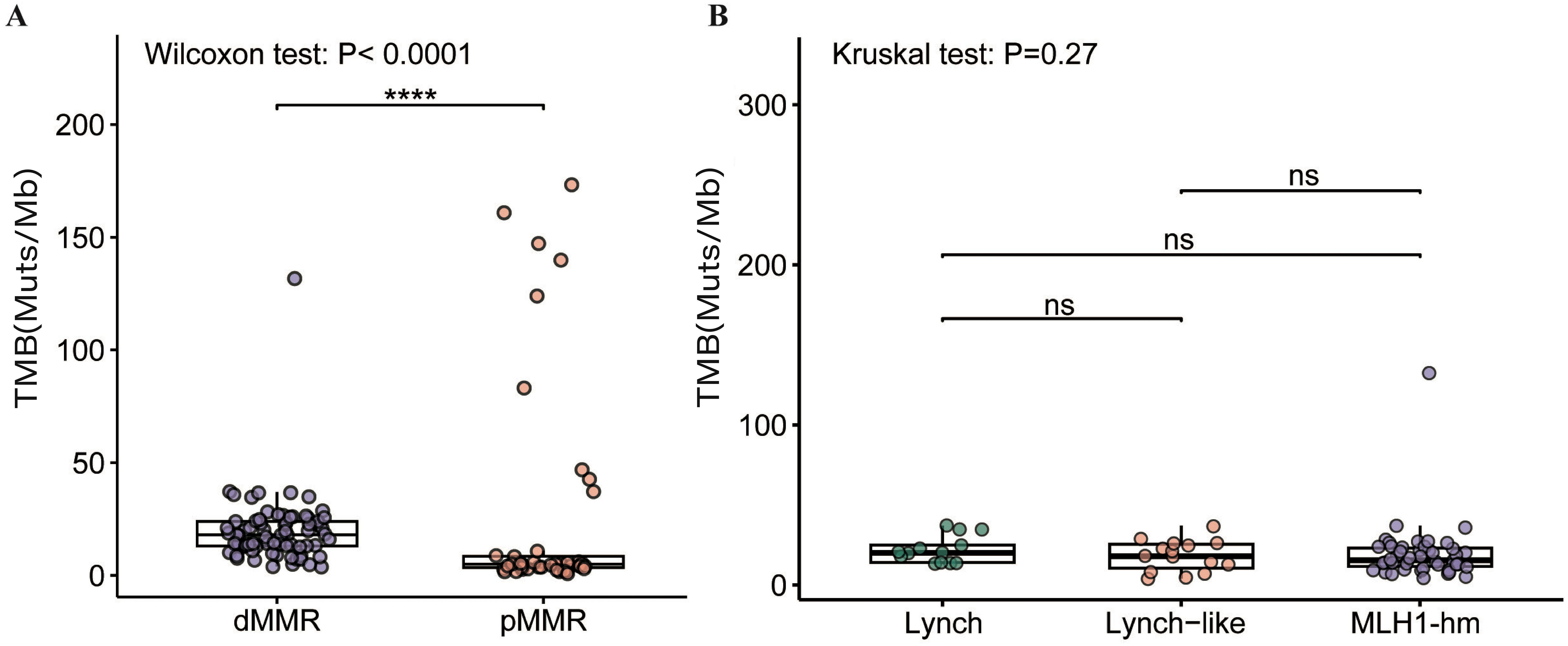 Box plots showing tumor mutational burden (TMB) comparison. Panel A shows significantly higher TMB in dMMR versus pMMR with a Wilcoxon test P-value less than 0.0001. Panel B compares TMB among Lynch, Lynch-like, and MLH1-hm groups with non-significant differences as indicated by a Kruskal test P-value of 0.27.
