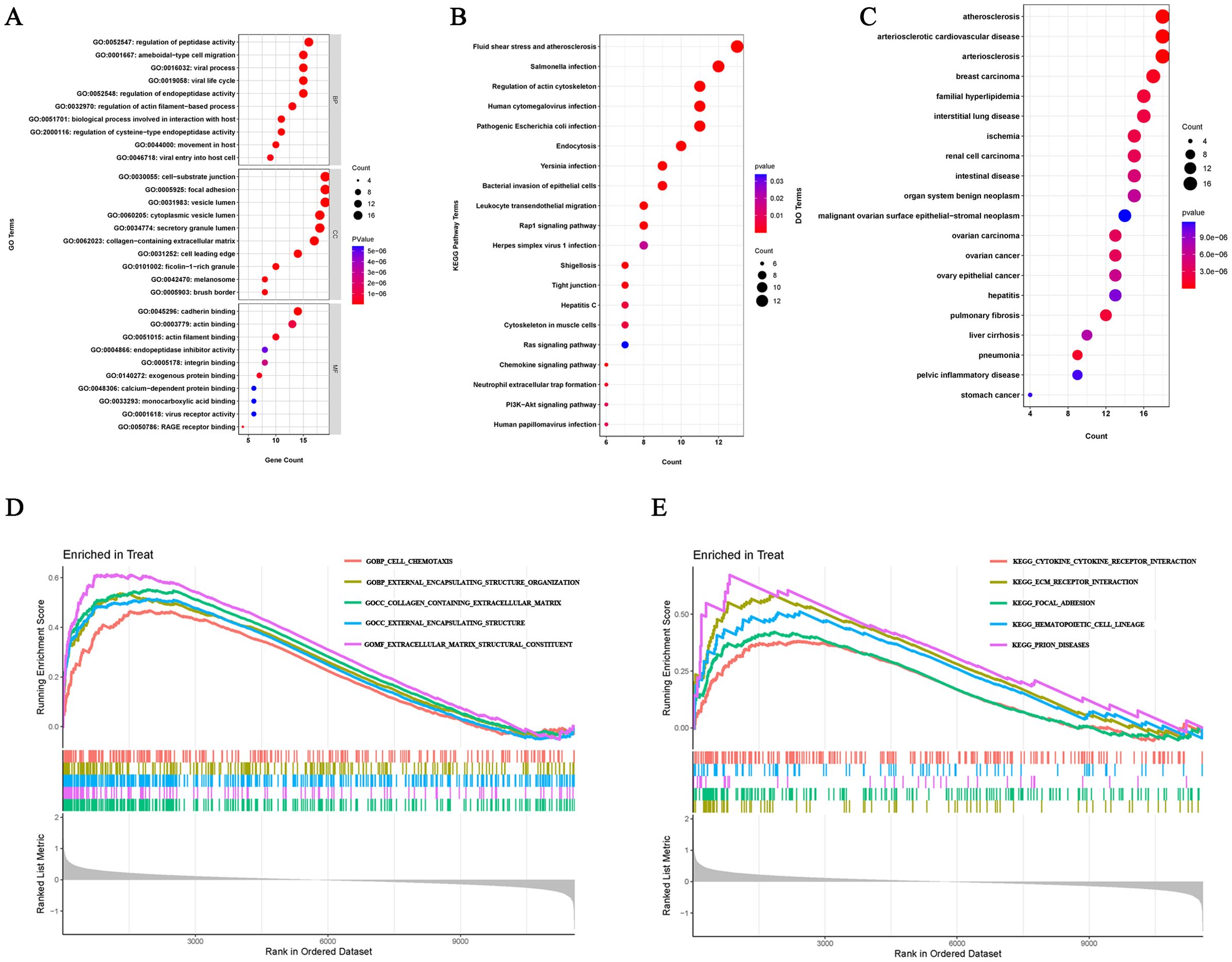 Five panels displaying bubble and line graphs related to gene ontology and pathway enrichment analysis. Panels A, B, and C feature bubble charts showing gene counts and pathways with color-coded p-values. Panels D and E show line graphs depicting enrichment scores for various gene sets, each marked by different colors.