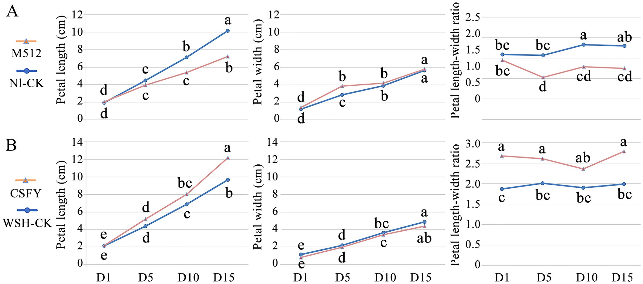 Line graphs represent petal measurements for two plant types, M512 and N1-CK (A), and CSFY and WSH-CK (B). Petal length, width, and length-width ratio are shown over four days: D1, D5, D10, and D15. Data points are labeled with statistical significance indicators (a, b, c, etc.).