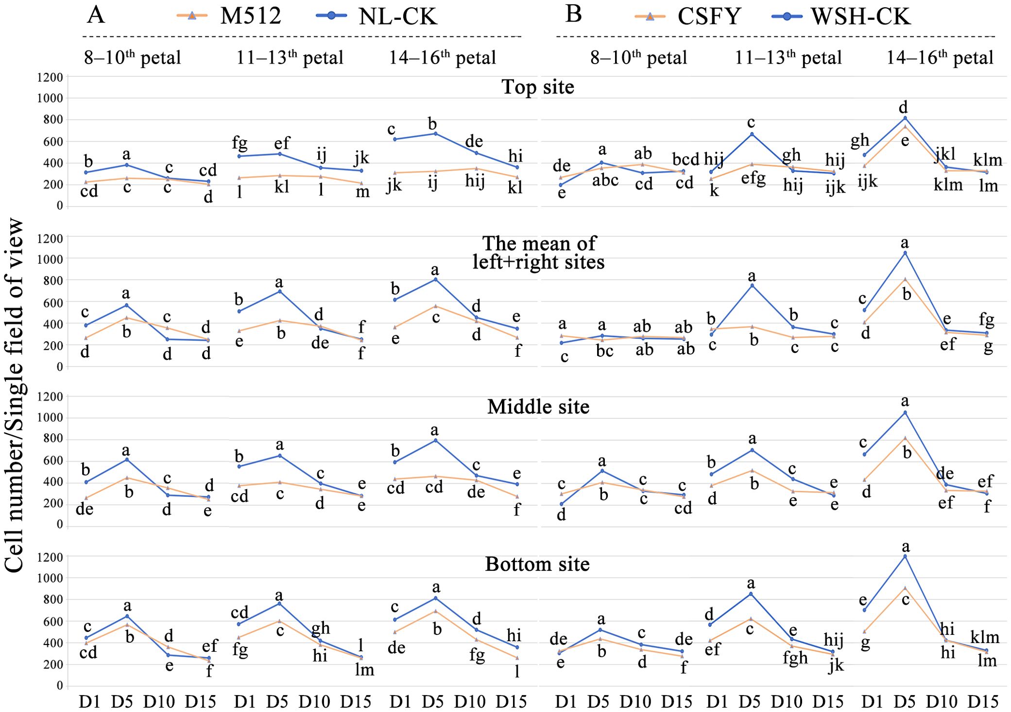 Line graphs displaying cell numbers per single field of view for different petals and sites. The graphs are divided into sections A and B, each with three sites: top, middle, and bottom. Each section represents different petal ranges, comparing two data sets: M512 vs. NL-CK, and CSFY vs. WSH-CK. The graphs depict patterns and variations in cell counts across various conditions and durations, indicated by data points labeled with letters.