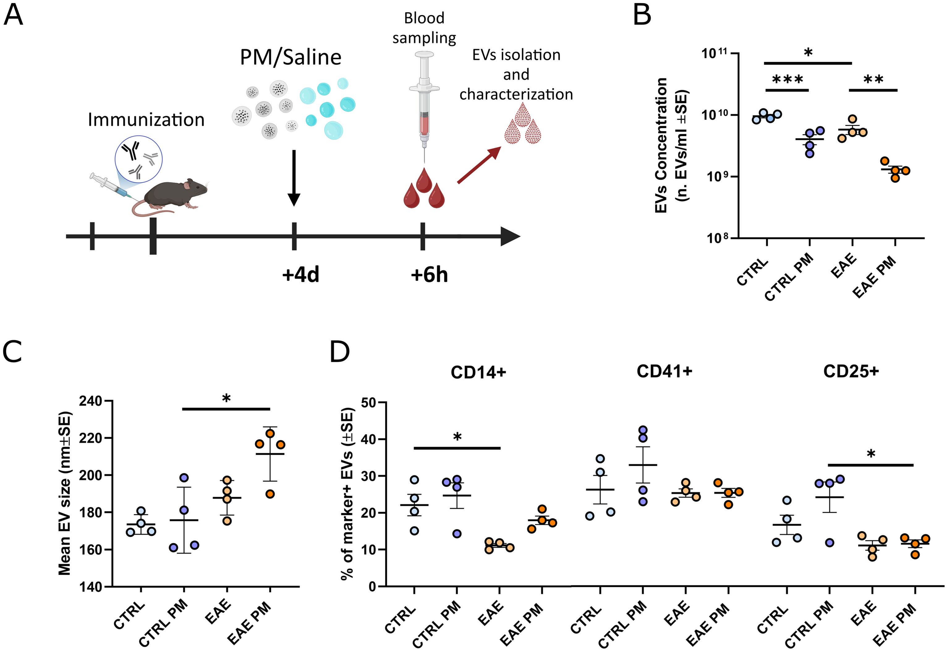 Diagram outlining an experiment and associated graphs. Panel A depicts the timeline: mice are immunized, treated with PM/saline after four days, and blood is sampled six hours later for EV isolation. Panel B shows EV concentrations under four conditions with statistical significance marked. Panel C presents mean EV sizes across the conditions, also noting significance. Panel D illustrates percentages of CD14+, CD41+, and CD25+ markers in EVs, with significance highlighted for CD14+ and CD25+.