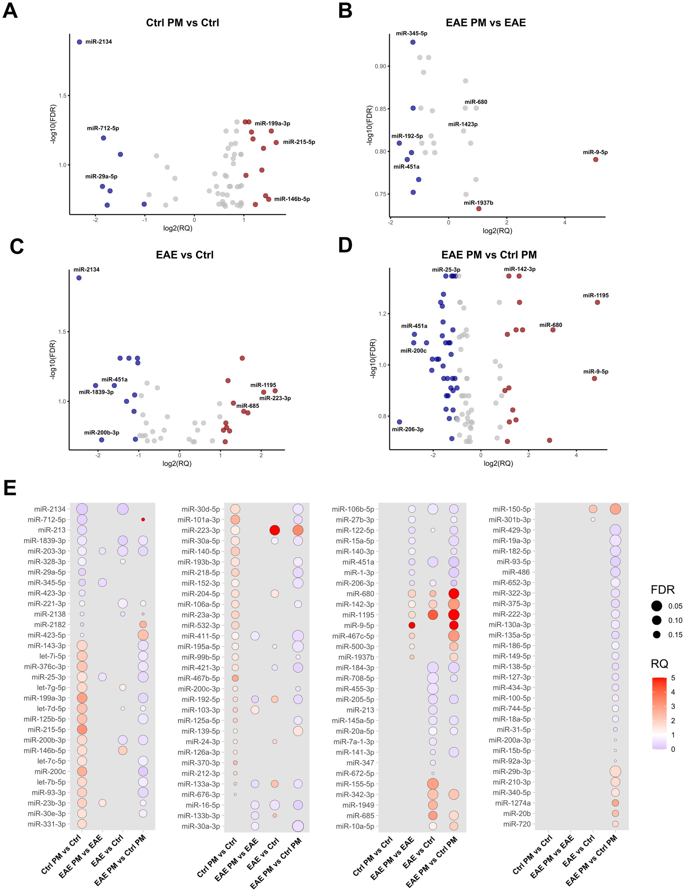 Volcano plots and a Dot plot display microRNA data across four comparisons: Ctrl PM vs. Ctrl, EAE PM vs. EAE, EAE vs. Ctrl, and EAE PM vs. Ctrl PM. Panels A-D show log2(RQ) against -log10(FDR) for specific microRNAs, highlighting colored points. Panel E shows a bubble chart with microRNA comparisons, indicating FDR and RQ levels through bubble size and color gradient.