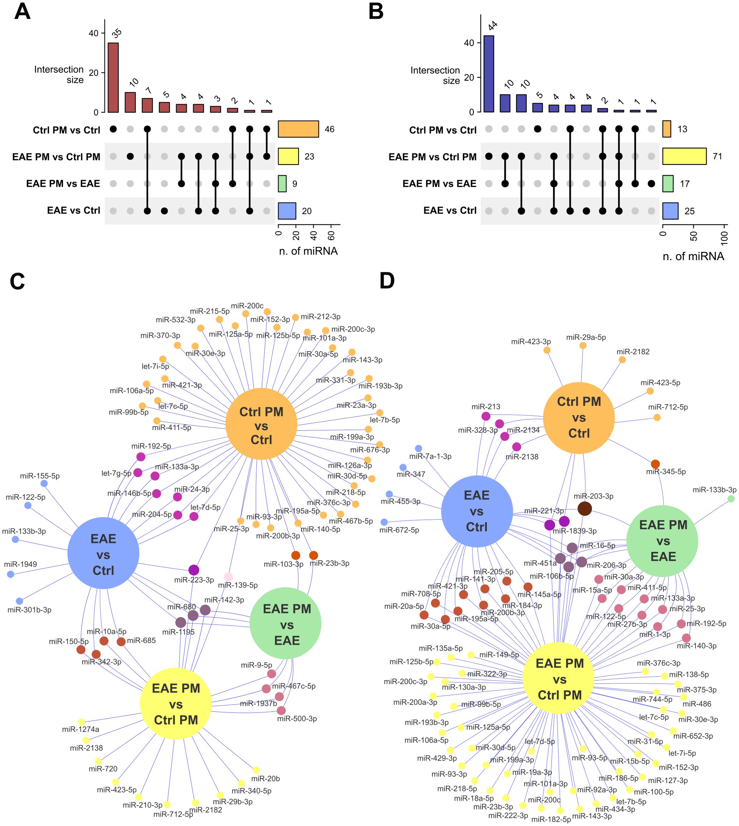 The image consists of two sections: A and B, featuring upset plots, and C and D, illustrating network diagrams. Sections A and B show bar graphs with intersection sizes for different miRNA comparisons: Ctrl PM vs Ctrl, EAE PM vs Ctrl PM, EAE PM vs EAE, and EAE vs Ctrl, with numbers indicating n. of miRNA affected. Sections C and D are network diagrams illustrating miRNA interactions, organized by colored nodes representing different comparisons, such as Ctrl PM vs Ctrl and EAE PM vs Ctrl. Each node has lines showing connections to specific miRNAs, highlighting their relationships.