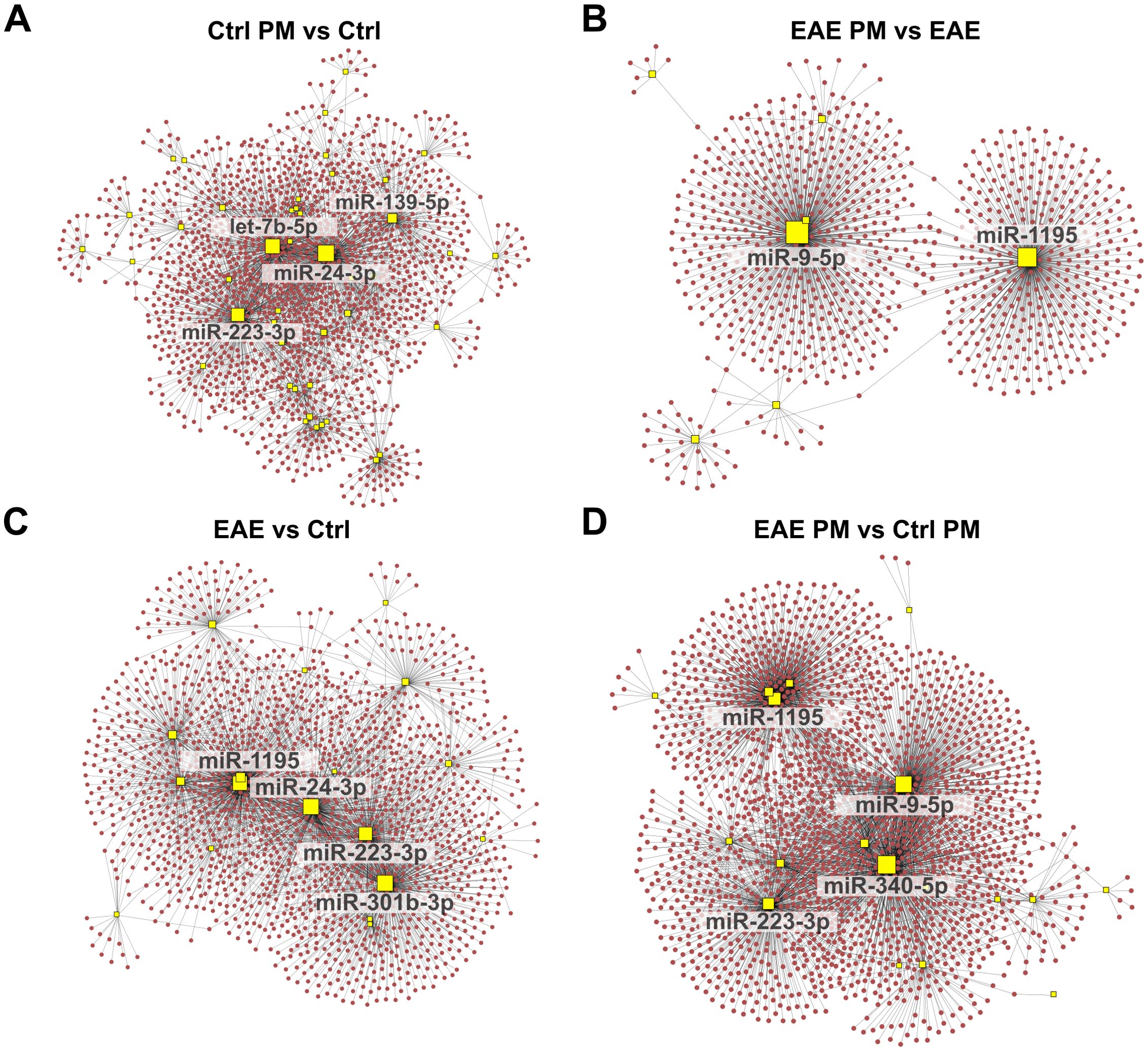 Four network diagrams labeled A, B, C, and D show interactions between microRNAs and their targets across different conditions. Large yellow squares represent specific upregulated miRNAs, with smaller red dots connected by lines depicting complex interaction networks. Notable microRNAs like miR-9-5p, miR-1195, let-7b-5p, and miR-223-3p are highlighted. Each diagram contrasts pairs of conditions: Ctrl PM vs Ctrl, EAE PM vs EAE, EAE vs Ctrl, and EAE PM vs Ctrl PM, illustrating distinct interaction patterns across each scenario.