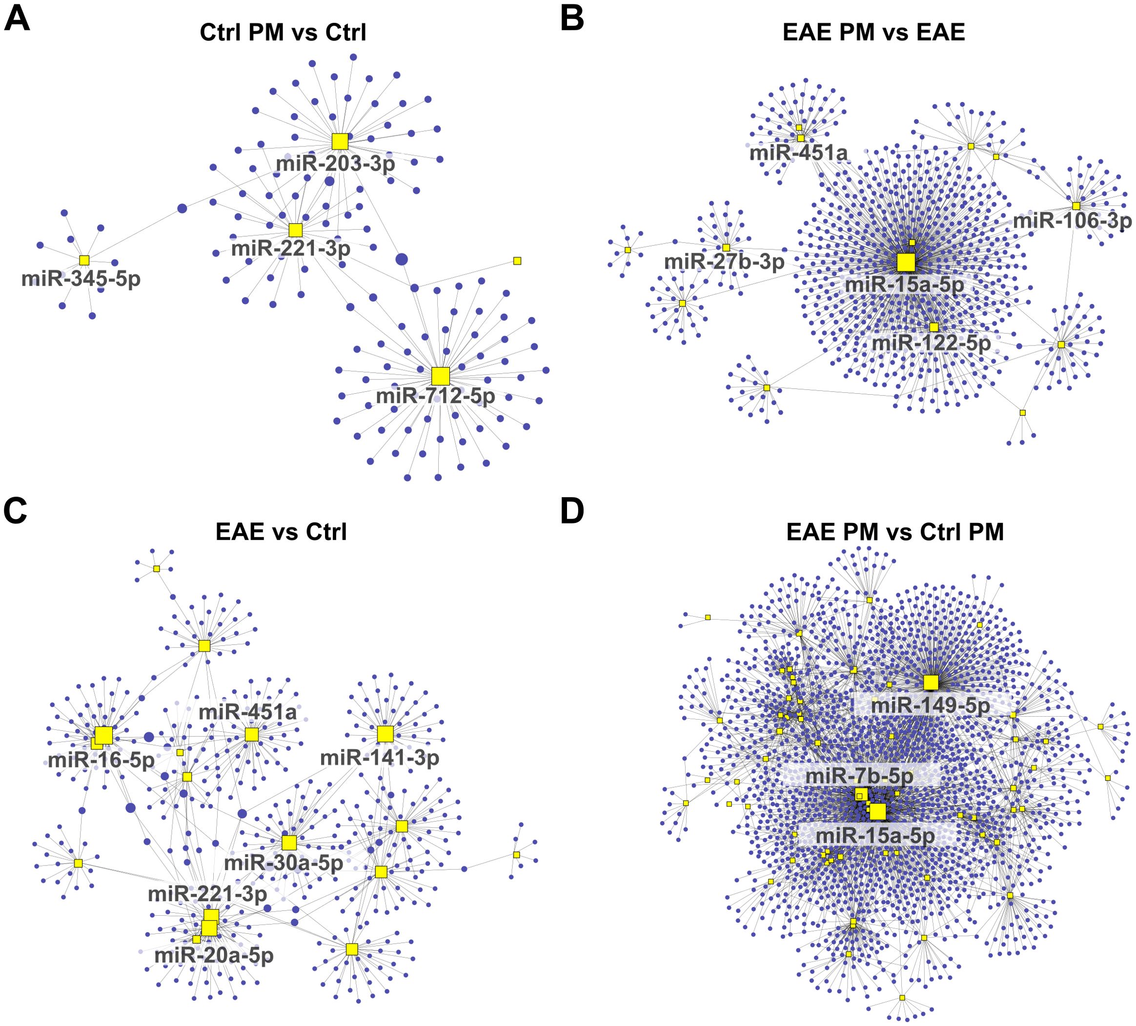 Four network diagrams labeled A, B, C, and D illustrate downregulated miRNA interactions with their respective targets in different experimental comparisons. Each diagram has nodes and edges, with yellow squares highlighting key miRNAs like miR-203-3p, miR-712-5p, miR-15a-5p, and miR-451a. Blue dots represent connected targets, varying in complexity across diagrams A (Ctrl PM vs Ctrl), B (EAE PM vs EAE), C (EAE vs Ctrl), and D (EAE PM vs Ctrl PM).