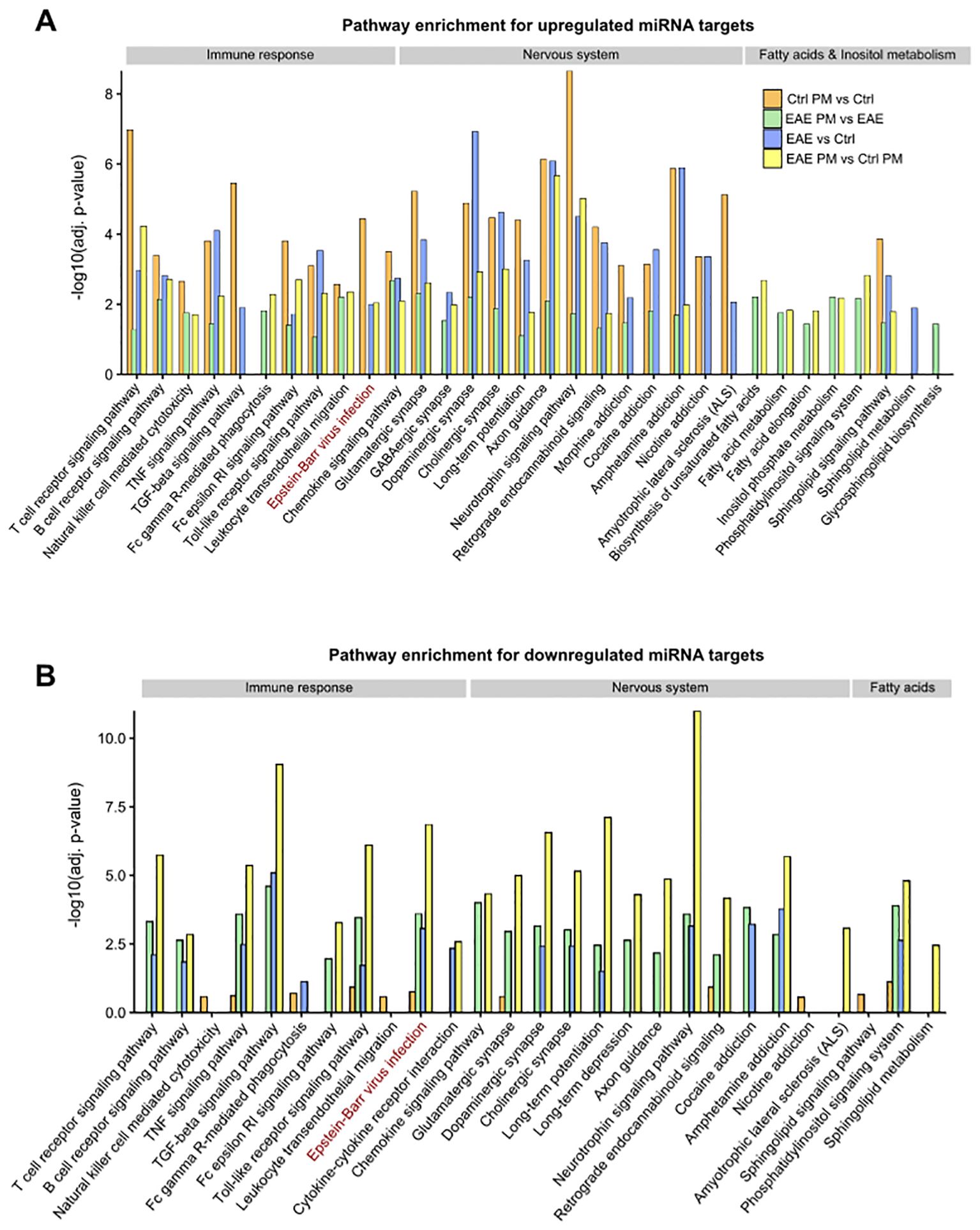 Bar charts titled “Pathway enrichment for upregulated miRNA targets” (A) and “Pathway enrichment for downregulated miRNA targets” (B). Each chart displays pathway categories including immune response, nervous system, fatty acids & inositol metabolism. Bars represent comparisons: Ctrl PM vs Ctrl, EAE PM vs EAE, EAE vs Ctrl, and EAE PM vs Ctrl PM, using orange, green, blue and yellow colors, respectively. Presence of the Epstein-Barr virus infection pathway is highlighted. Data values are on the y-axis as -log10(adjusted p-value).