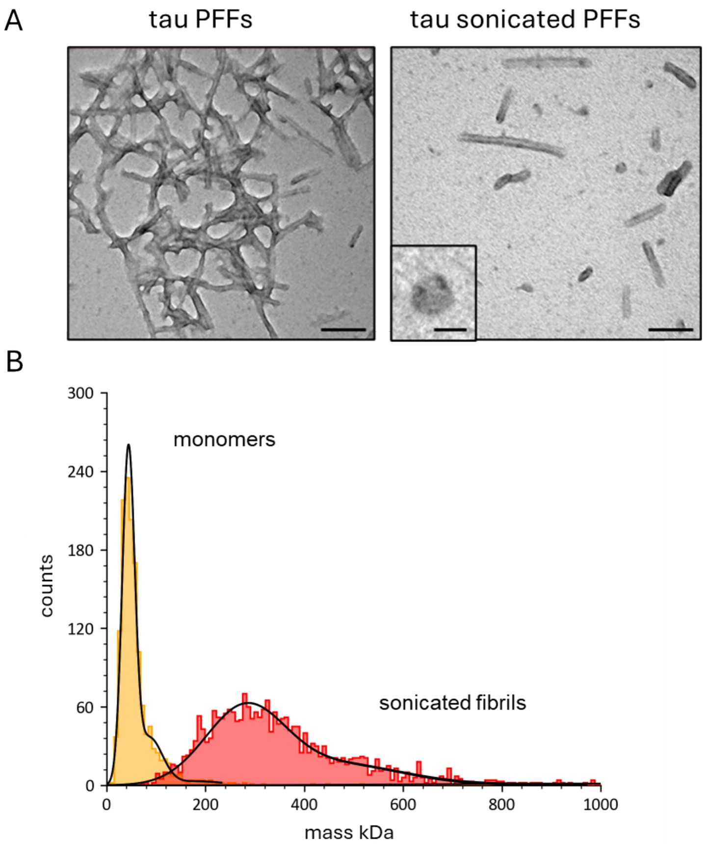 Panel A shows two electron micrographs. The left image displays dense tau PFFs, while the right shows dispersed tau sonicated PFFs, with an inset highlighting a specific structure. Panel B is a line graph comparing mass distribution. The x-axis represents mass in kilodaltons ranging from 0 to 1000, and the y-axis shows counts. Peaks for monomers and sonicated fibrils are displayed in yellow and red respectively.
