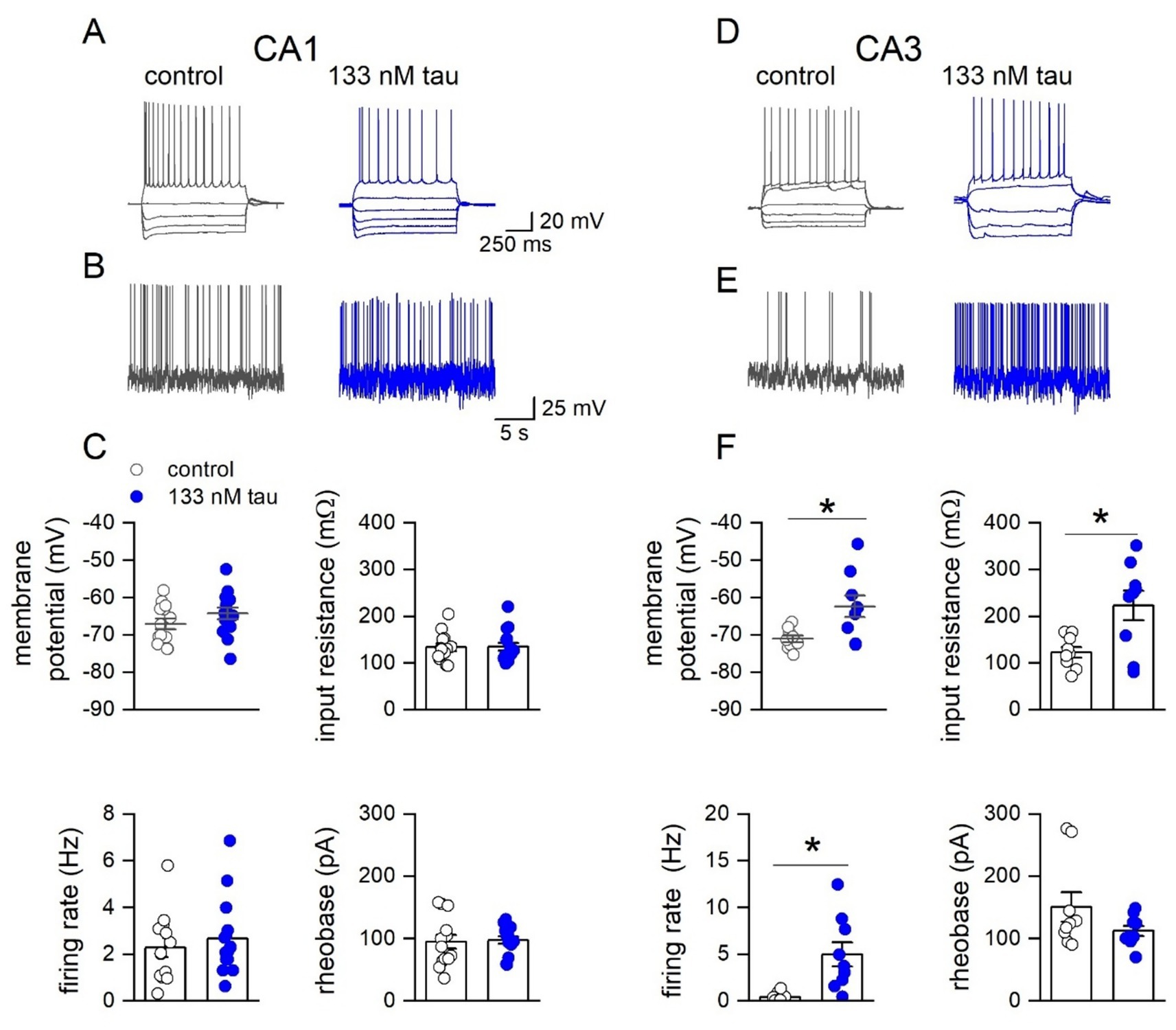 Electrophysiological data comparing effects of control and 133 nM tau on hippocampal CA1 and CA3 regions. Panels A and D show action potential traces. Panels B and E display spontaneous activity. Panels C and F present bar graphs and scatter plots of membrane potential, input resistance, firing rate, and rheobase. Statistically significant differences are indicated by asterisks.
