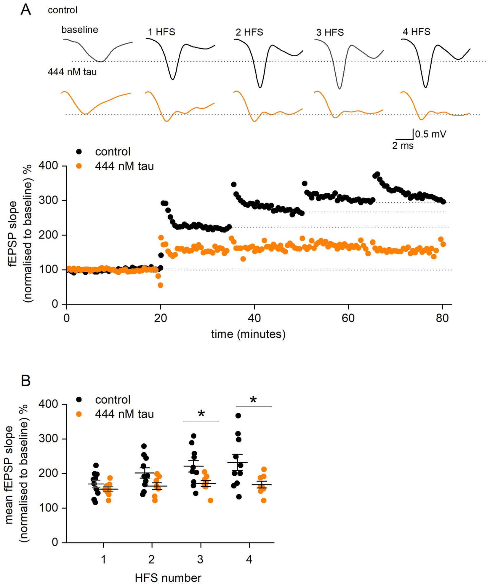 Graph comparing control and 444 nM tau treatment on fEPSP slope. Panel A shows time-course fEPSP slopes during high-frequency stimulation (HFS) sessions with black and orange lines for control and tau, respectively. Panel B depicts mean fEPSP slopes for each HFS. Control shows higher slopes than tau, with significant differences marked by asterisks.