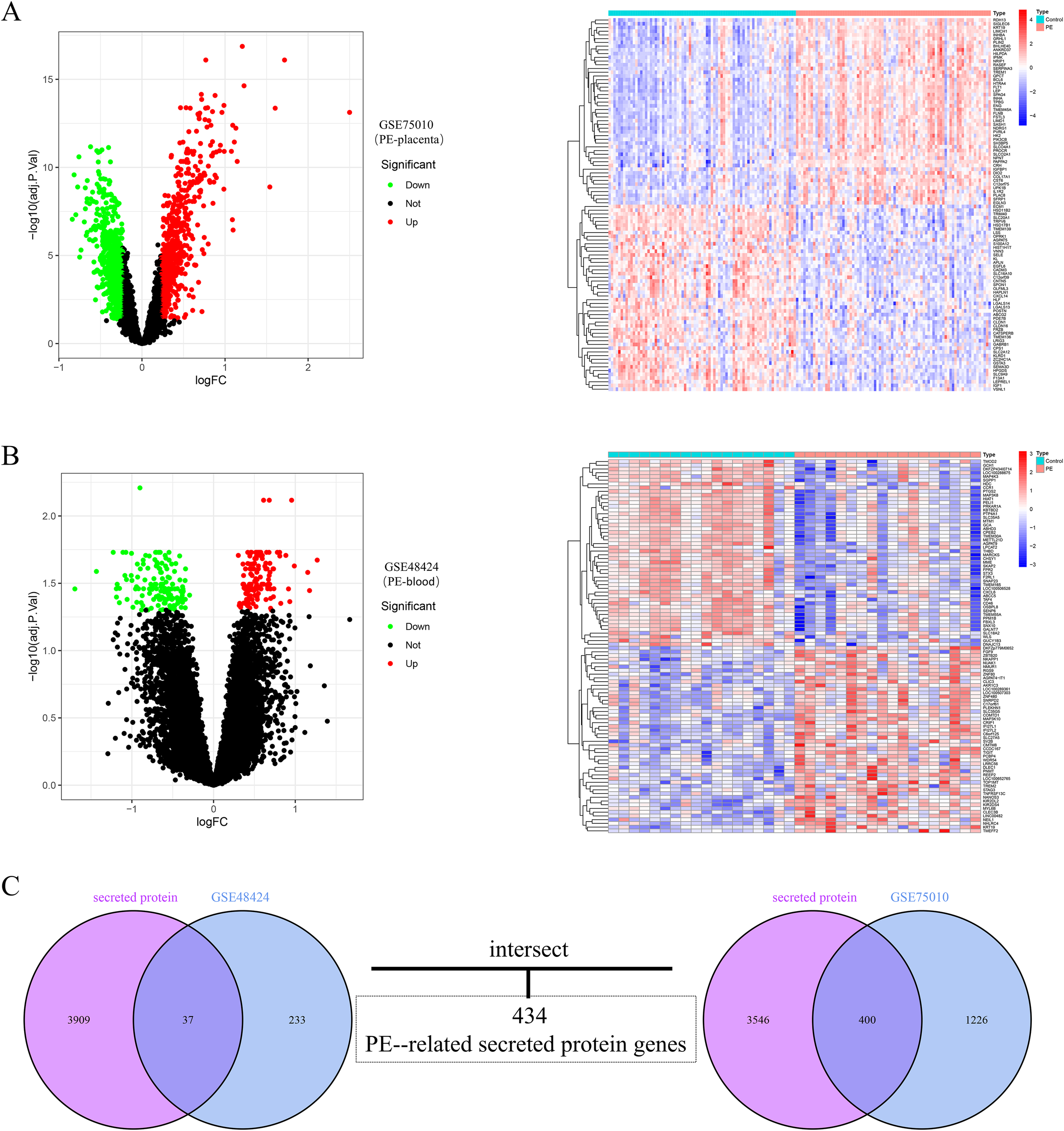 A multi-panel image displays gene expression analysis. Panel A: A volcano plot and heatmap from a PE-placenta dataset, showing upregulated (red) and downregulated (green) genes. Panel B: A similar volcano plot and heatmap for a PE-blood dataset. Panel C: Two Venn diagrams highlight intersecting sets of secreted protein genes, revealing 434 preeclampsia-related genes.