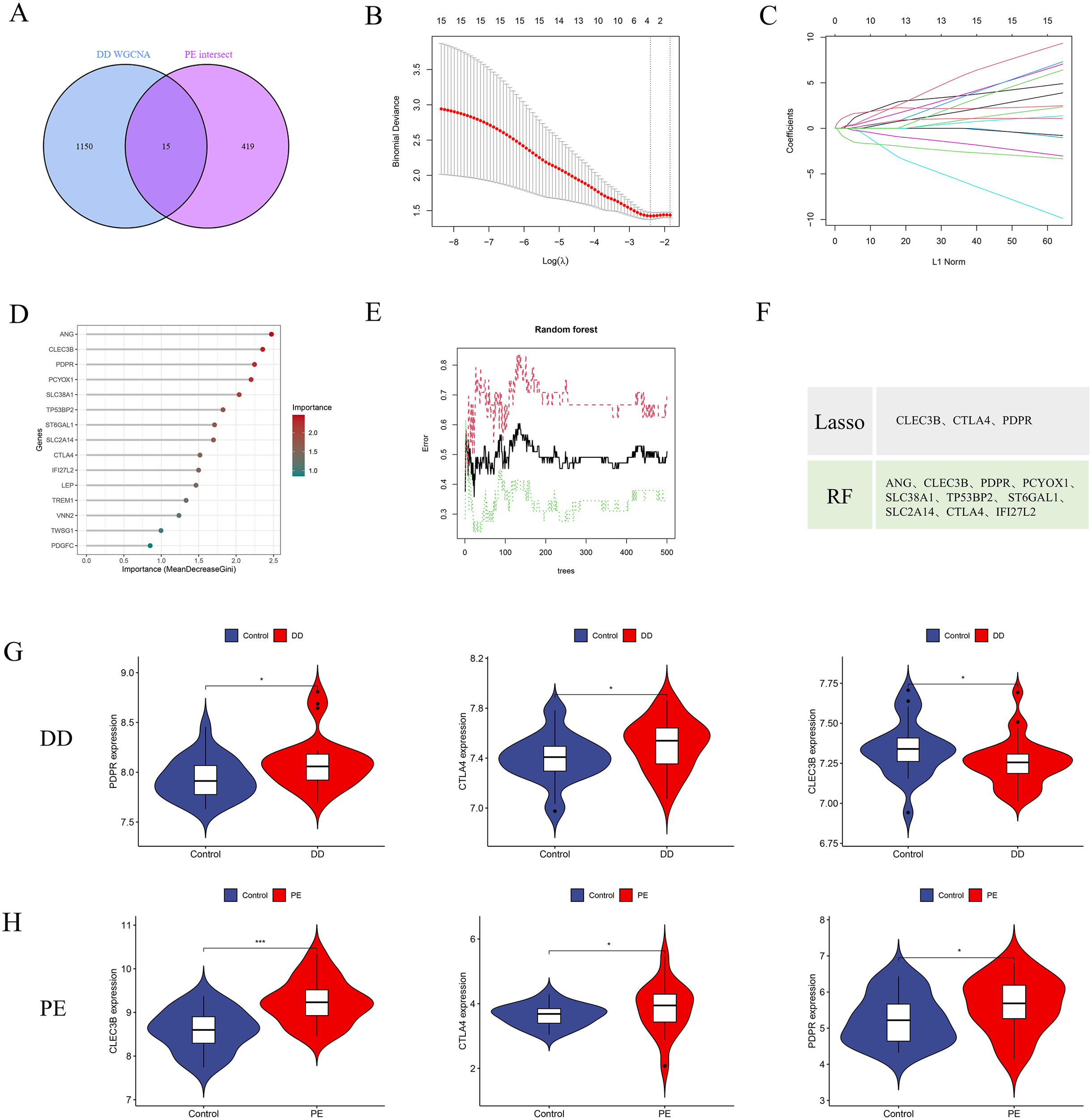A series of images depicting various data visualizations: A) A Venn diagram showing the intersection of two data sets, DD WGCNA and PE intersect, with 15 common elements. B) A plot of binomial deviance versus Log(lambda) for Lasso regression, indicating variable selection. C) A plot of L1 norm versus coefficient for Lasso regression. D) A variable importance plot from a machine learning model, ranking genes by importance using mean decrease in accuracy. E) An error rate plot from a random forest model, showing error versus the number of trees. F) A table listing selected genes for Lasso and random forest models. G and H) Violin plots showing gene expression comparisons between control and disease groups for DD and PE datasets, respectively, with significant differences marked by asterisks.