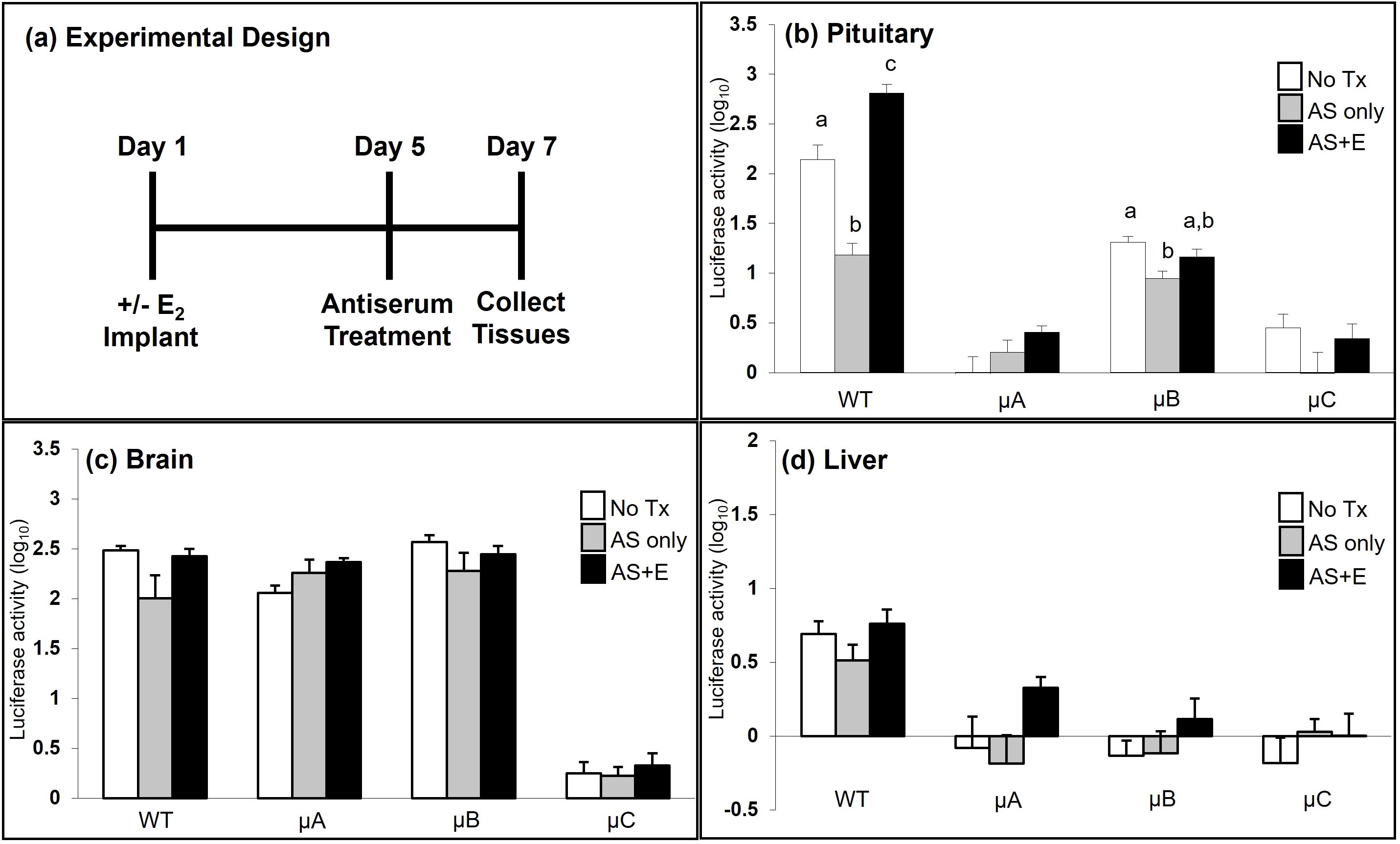 Electrophoretic mobility shift assays in two panels. Panel a) shows bands labeled pCREB and CREB, with indications of 'Super shift' and 'Free probe'. Panel b) contains similar bands with labels ovCRE, huCRE, conCRE, and nsCRE, indicating 'Specific binding' and 'Free probe'. Both panels depict protein-DNA interactions using nuclear extracts and probes.