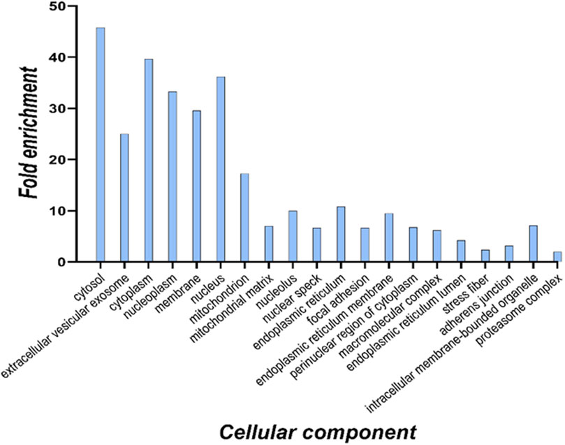 Bar chart illustrating fold enrichment of various cellular components. The cytosol shows the highest enrichment around 45, followed by components like exosome and cytoplasm. Other components, such as the proteasome complex, display lower enrichment levels.