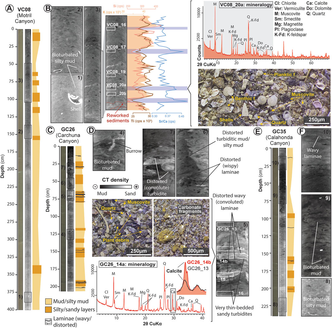 Geological sediment core analysis image shows stratigraphy and mineralogy from three canyons: Motril, Carchuna, and Calahonda. The sections include depth measurements, descriptions of sediment layers like bioturbated mud, silty mud, and sandy layers. Graphs display elemental counts and mineral compositions. Microscopic images highlight features such as shells, planktons, muscovite, quartz, and carbonate fragments. Details like distorted turbidite layers, wavy laminations, and bioturbation are annotated. Key minerals identified include chlorite, calcite, quartz, and muscovite. Different scales provide context for sediment sizes and mineral distributions.