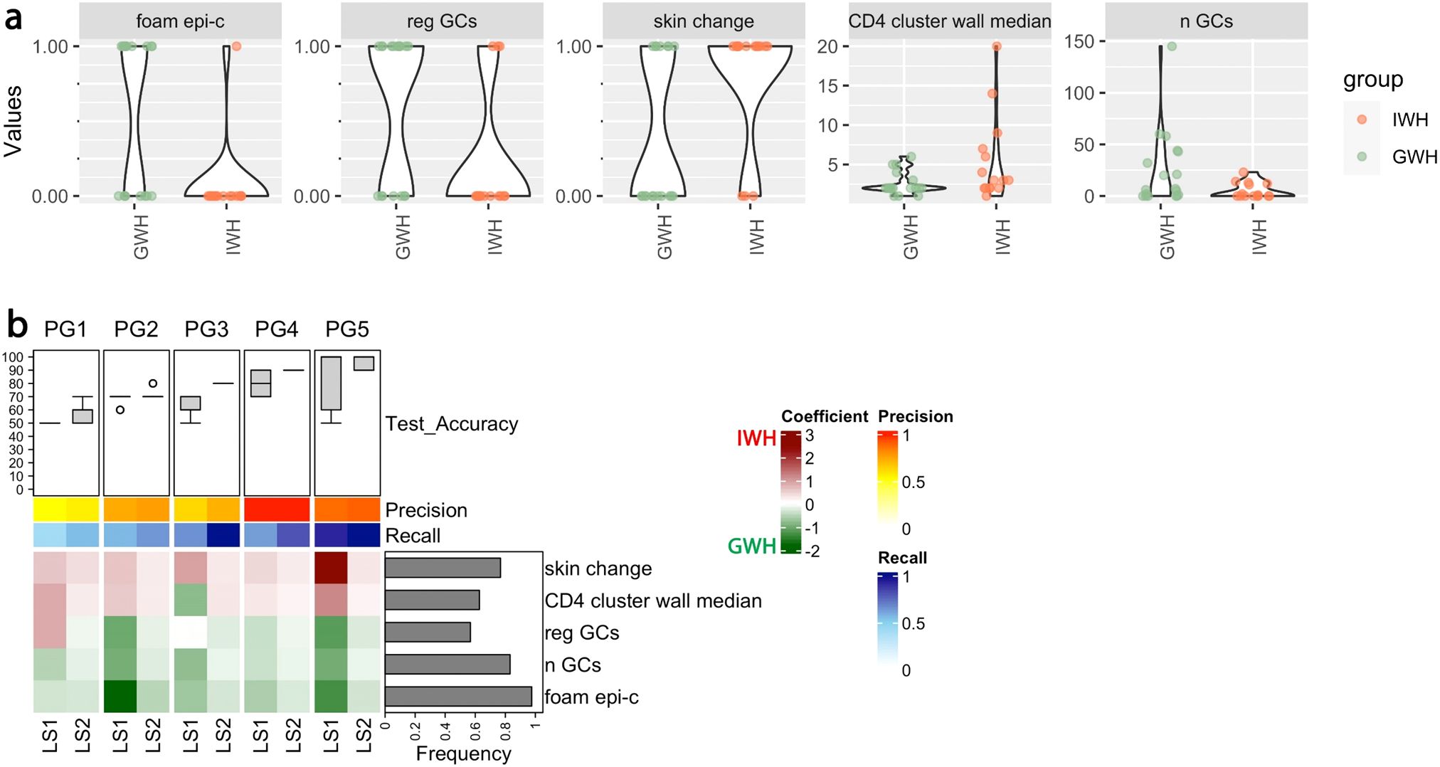 Chart illustrating two main sections: (a) Violin plots comparing values between IWH and GWH groups across five variables: foam epi-c, reg GCs, skin change, CD4 cluster wall median, and n GCs. (b) Box plots and heatmap representing test accuracy, precision, and recall across different PG and LS categories, with frequency comparison and color-coded scales for coefficient, precision, and recall, distinguishing between IWH and GWH.