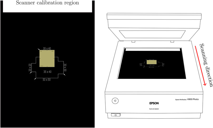 Diagram showing a scanner calibration region with a detailed measurement overlay. The left side depicts a dark background with a labeled rectangle indicating dimensions of 35x40 and 50x50 units. The right side illustrates an Epson Perfection V800 Photo scanner with the labeled calibration rectangle inside, and a red arrow indicating the scanning direction.