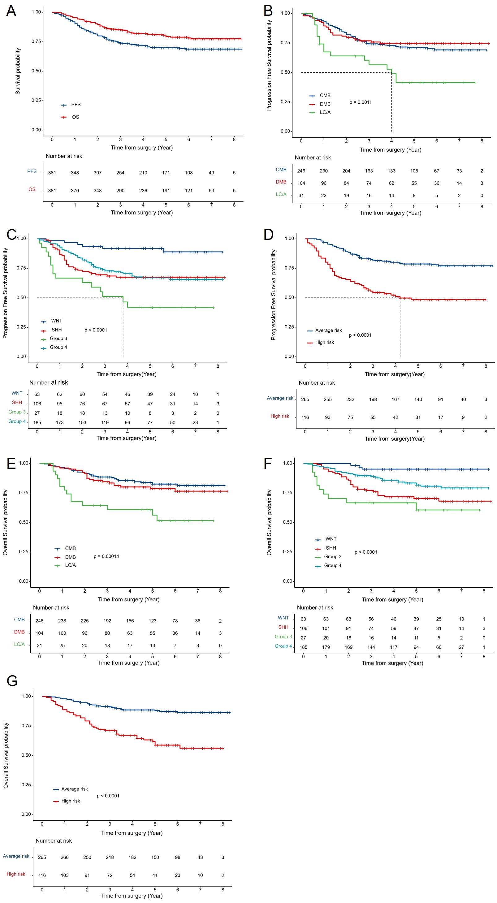 Seven Kaplan-Meier survival curves labeled A to G, showing survival probabilities over time since surgery in years. Curves depict progression-free and overall survival probabilities for various groups, like CMB, DMB, L/C/A, WNT, SHH, Group 3, and Group 4, along with average and high risk. Each graph includes a number at risk table and statistical significance values (p-values).