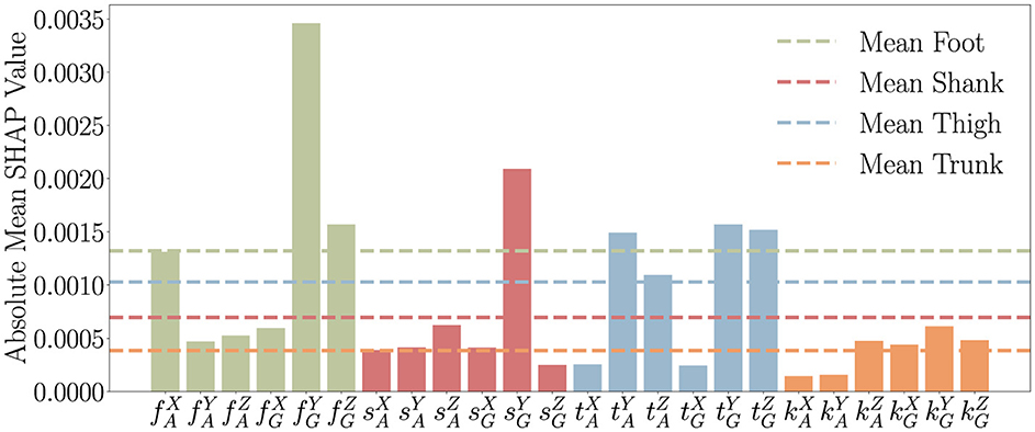 Bar chart showing absolute mean SHAP values for different body parts: foot (green), shank (pink), thigh (blue), and trunk (orange). Each body part is compared with mean values indicated by dashed lines of corresponding colors.