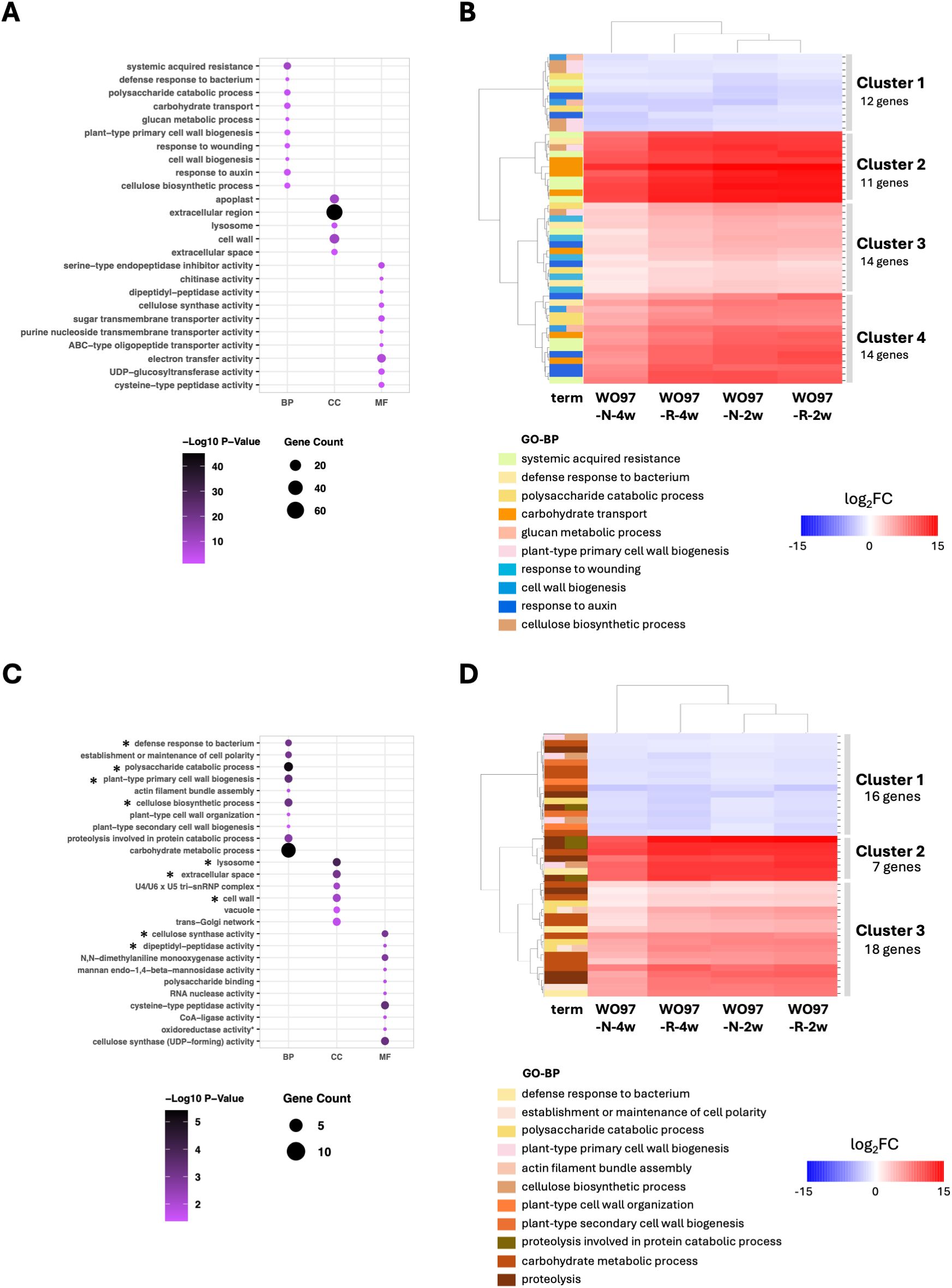 Panel A displays a bubble chart illustrating gene ontology terms across biological processes, cellular components, and molecular functions, with bubbles sized by gene count and colored by the negative logarithm of the p-value. Panel B shows a heatmap depicting gene expression clusters, with color gradients representing log fold changes across different conditions. Panel C presents another bubble chart similar to Panel A, focusing on different gene ontology terms. Panel D features a heatmap like Panel B, showing distinct gene clusters and expression changes under specific conditions. Both heatmaps have a color legend indicating the range from blue (downregulation) to red (upregulation).