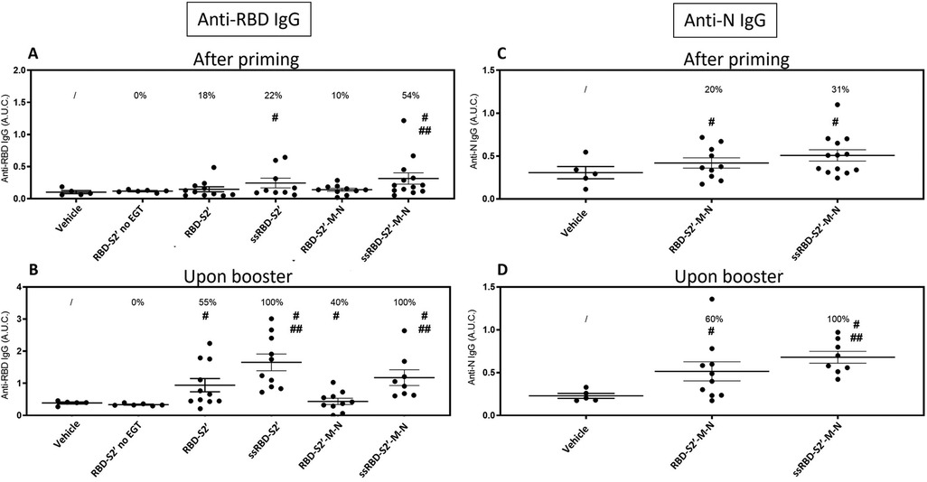 Graphs showing Anti-RBD IgG and Anti-N IgG levels after priming and upon booster. Panels A and B depict Anti-RBD IgG levels, with increased response noted in RBD-S2' and ssRBD-S2'-M-N groups. Panels C and D display Anti-N IgG levels with a notable increase in the ssRBD-S2'-M-N group. Results are indicated as percentages and A.U.C. values, with markers denoting significance.
