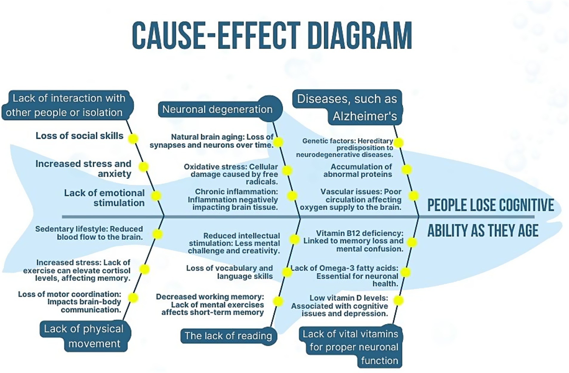 Cause-effect diagram illustrating factors leading to cognitive decline with age. Causes include lack of interaction, emotional stimulation, physical movement, and reading, as well as neuronal degeneration, and diseases like Alzheimer's. Effects noted are loss of social skills, increased stress, decreased motor coordination, and deficiencies in vitamins like B12, Omega-3, and D. These contribute to symptoms such as memory loss, reduced intellectual stimulation, and cognitive issues.