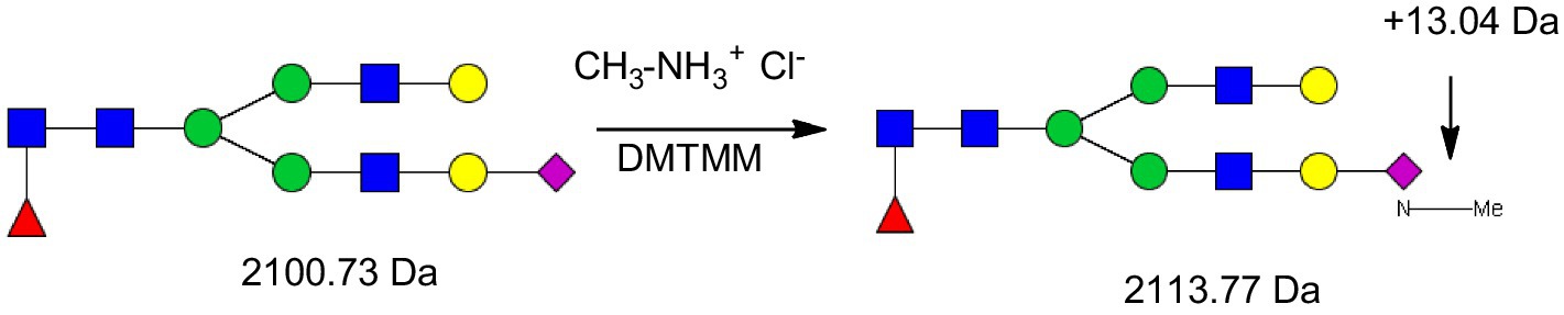 Chemical reaction diagram showing a structure on the left with a mass of 2100.73 Da converting to a structure on the right with a mass of 2113.77 Da. Reaction involves CH₃-NH₃⁺ Cl⁻ and DMTMM, adding 13.04 Da. Colored shapes represent different sugars.