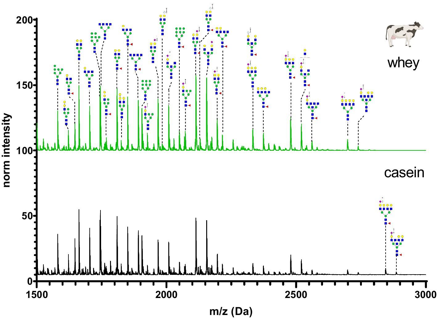 Mass spectrometry graph comparing whey and casein proteins. The x-axis represents mass-to-charge ratio in Daltons, and the y-axis shows normalized intensity. Whey protein spectra (top, green) contain higher intensity peaks than casein (bottom, black). A cow illustration is labeled