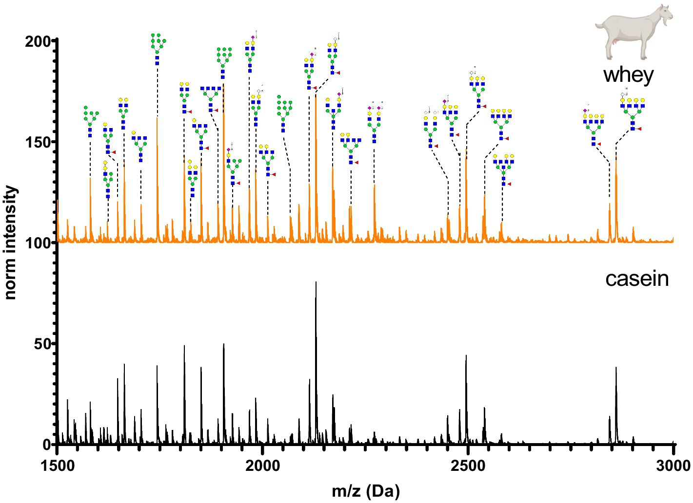 Mass spectrometry graph depicting normalized intensity of goat milk whey and casein glycopeptides. The top section shows whey with various glycan structures in green and blue overlaid on an orange trace, while the bottom section displays a black trace for casein. Horizontal axis is labeled in m/z (Da) from 1500 to 3000, and vertical axis shows norm intensity. A goat symbol represents the whey section.