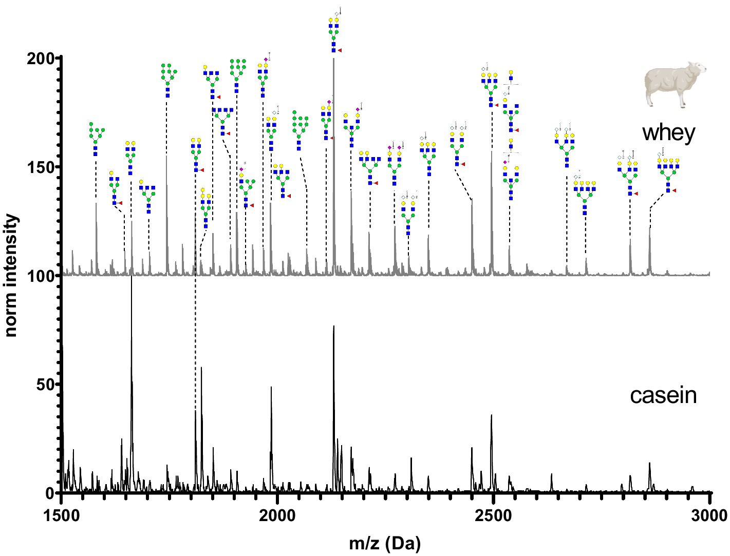 Mass spectrometry graph comparing glycan profiles of whey and casein proteins from 1500 to 3000 m/z (Da). The graph shows higher intensity peaks for whey, with marked glycan structures, while casein exhibits lower peaks.