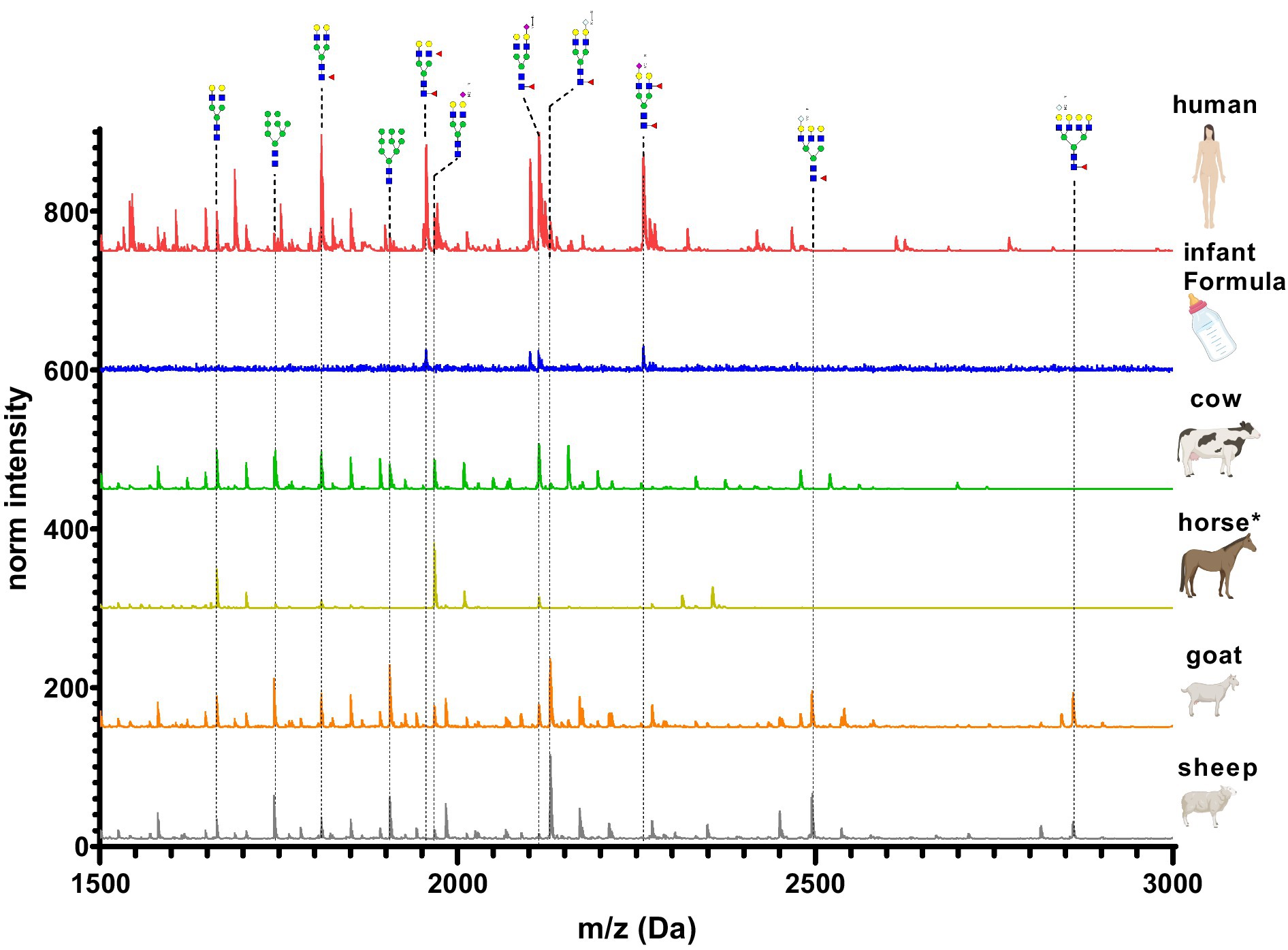 Mass spectrometry graph comparing normalized intensity of glycans across different samples. The curves represent human, infant formula, cow, horse, goat, and sheep, with varying peak distributions over a mass-to-charge ratio range from 1,500 to 3,000. Human milk shows prominent peaks, while infant formula and other animals have differing patterns.